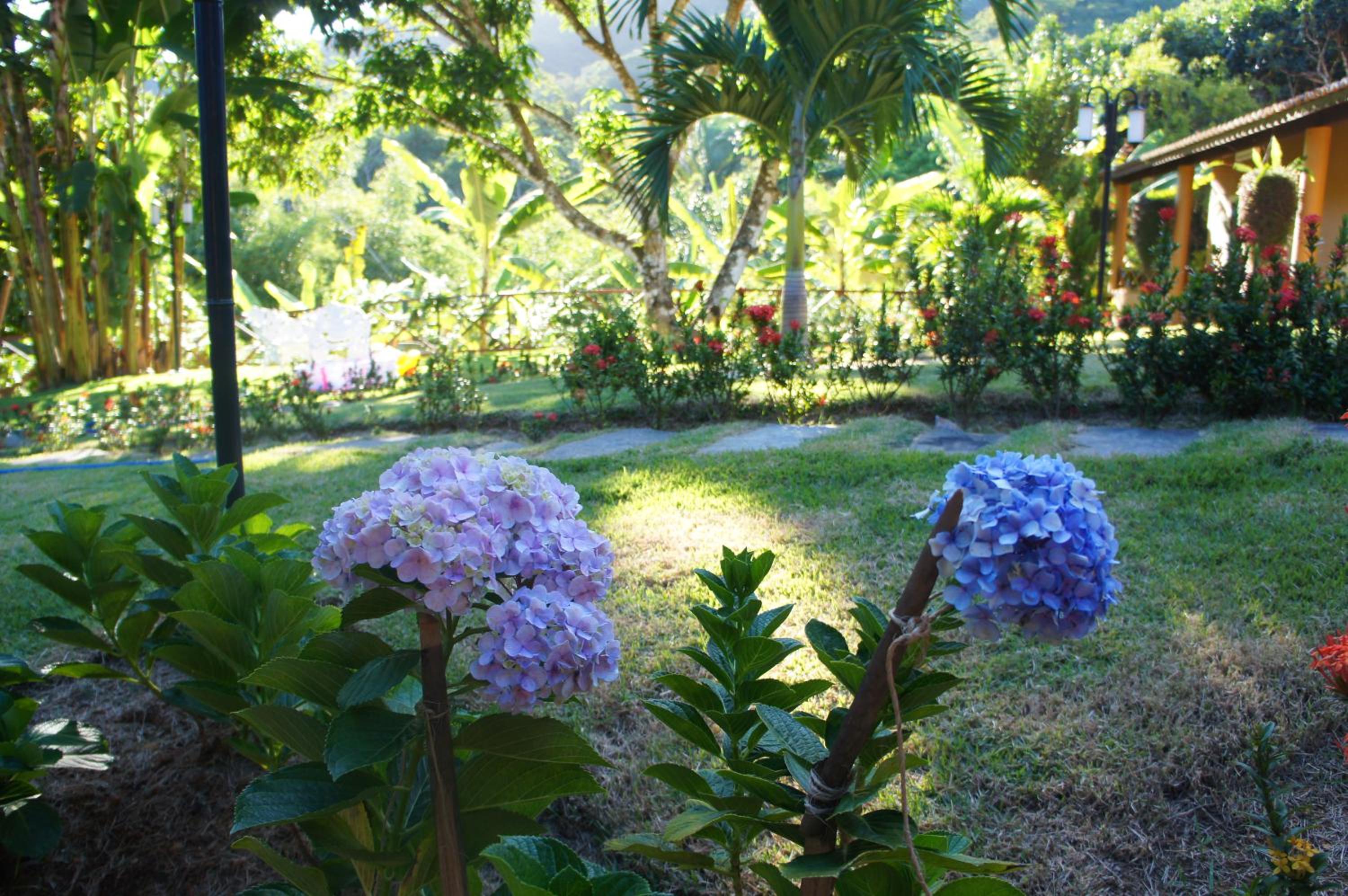 HOTEL CANTINHO DAS FLORES