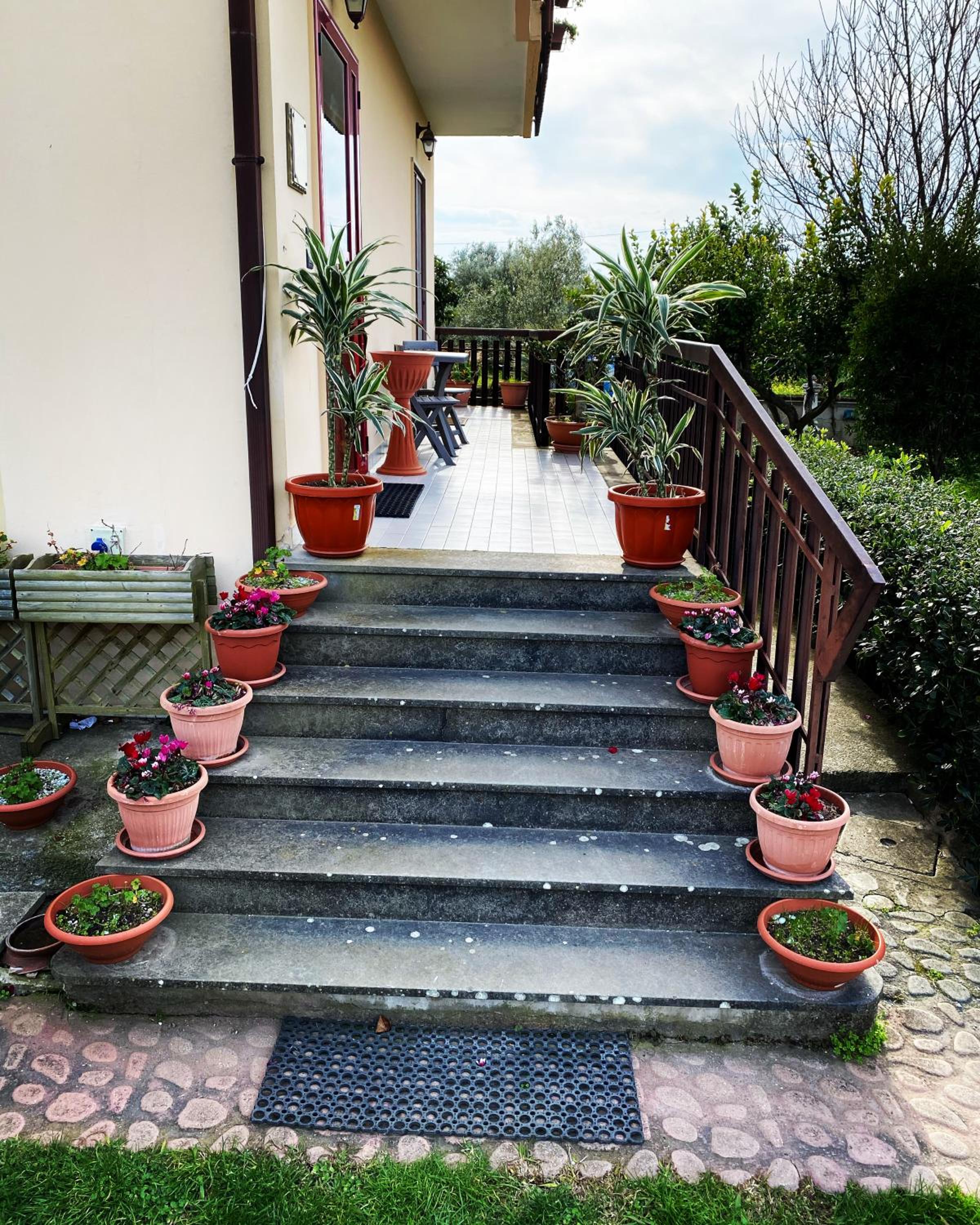 Photo 24