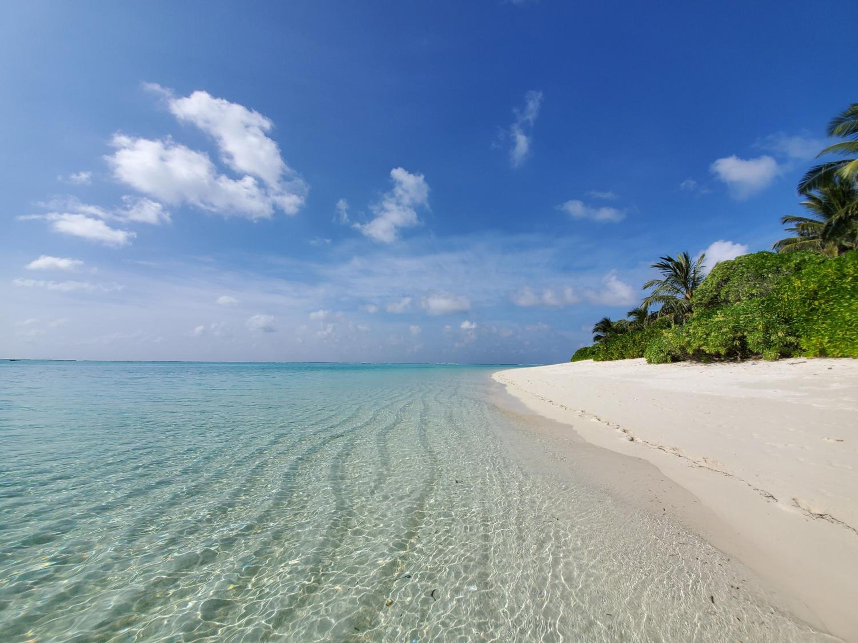 Summer inn Thoddoo photo 2