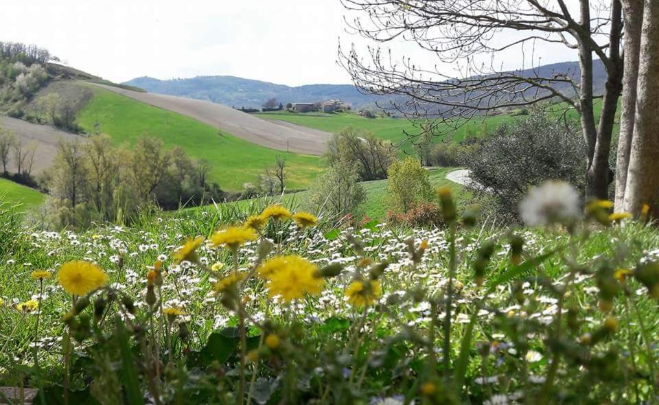 Agriturismo Il Colore del Grano photo 3