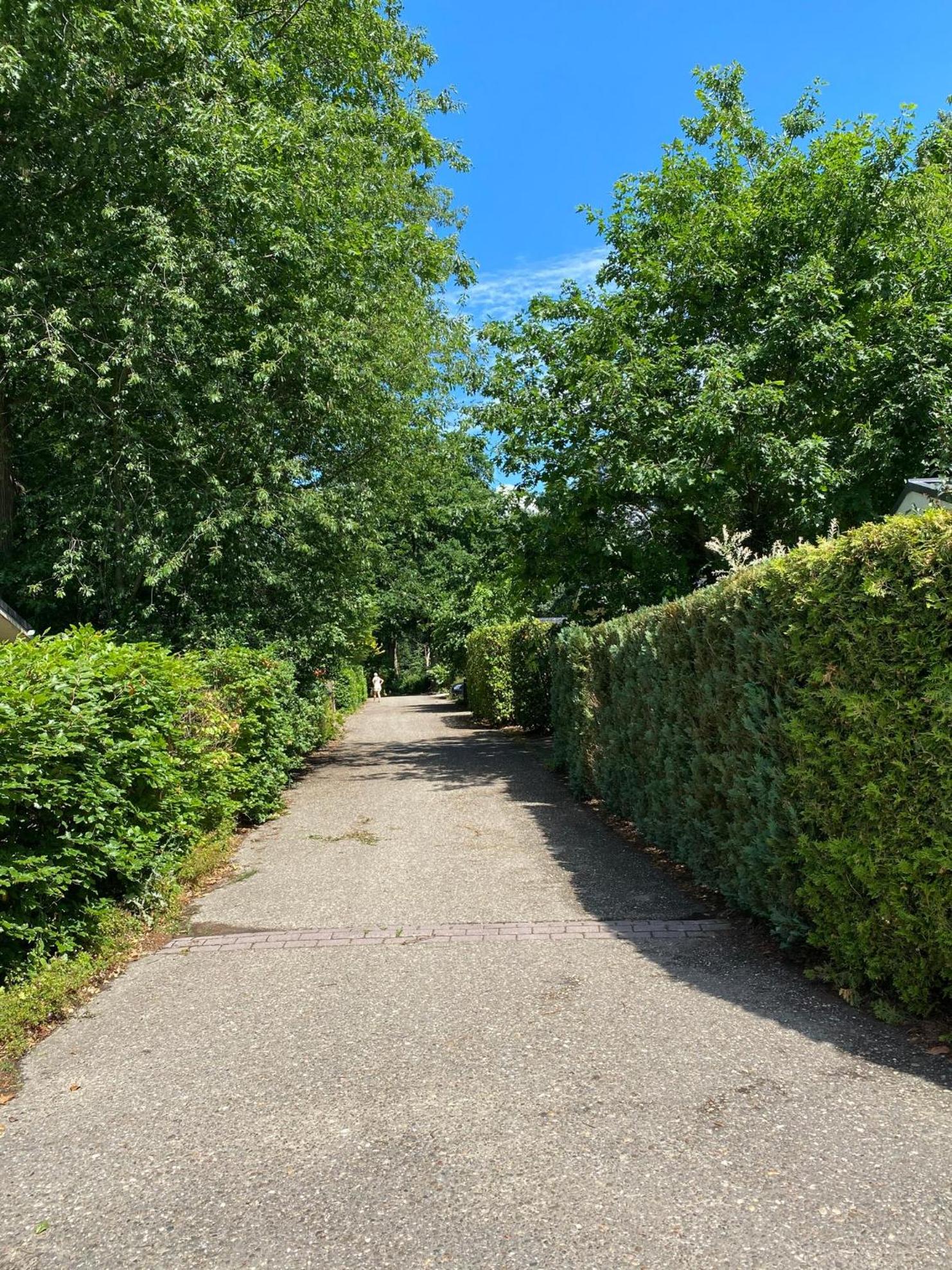 Vakantiehuis Veluwe Wageningen