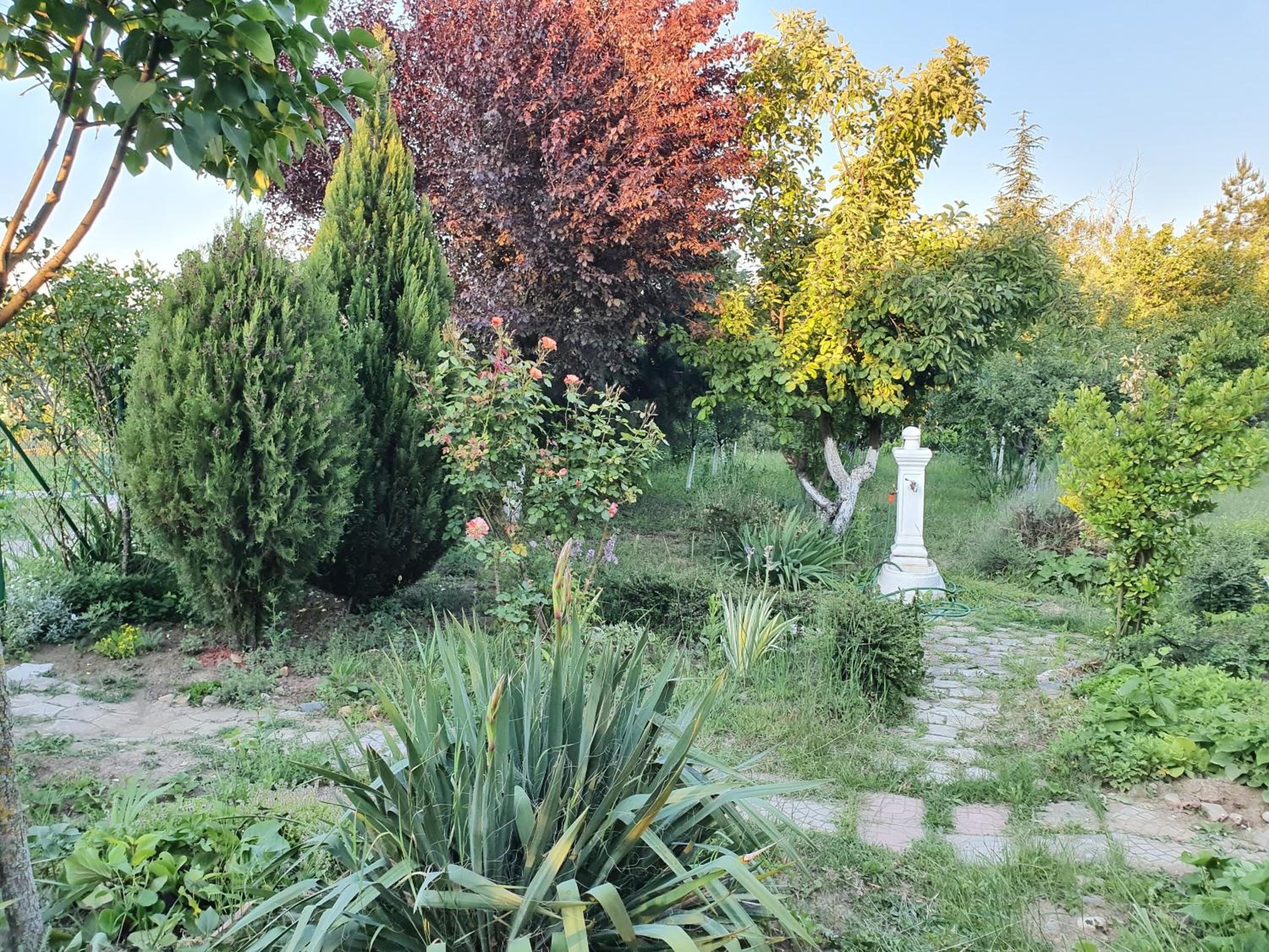 Photo 28