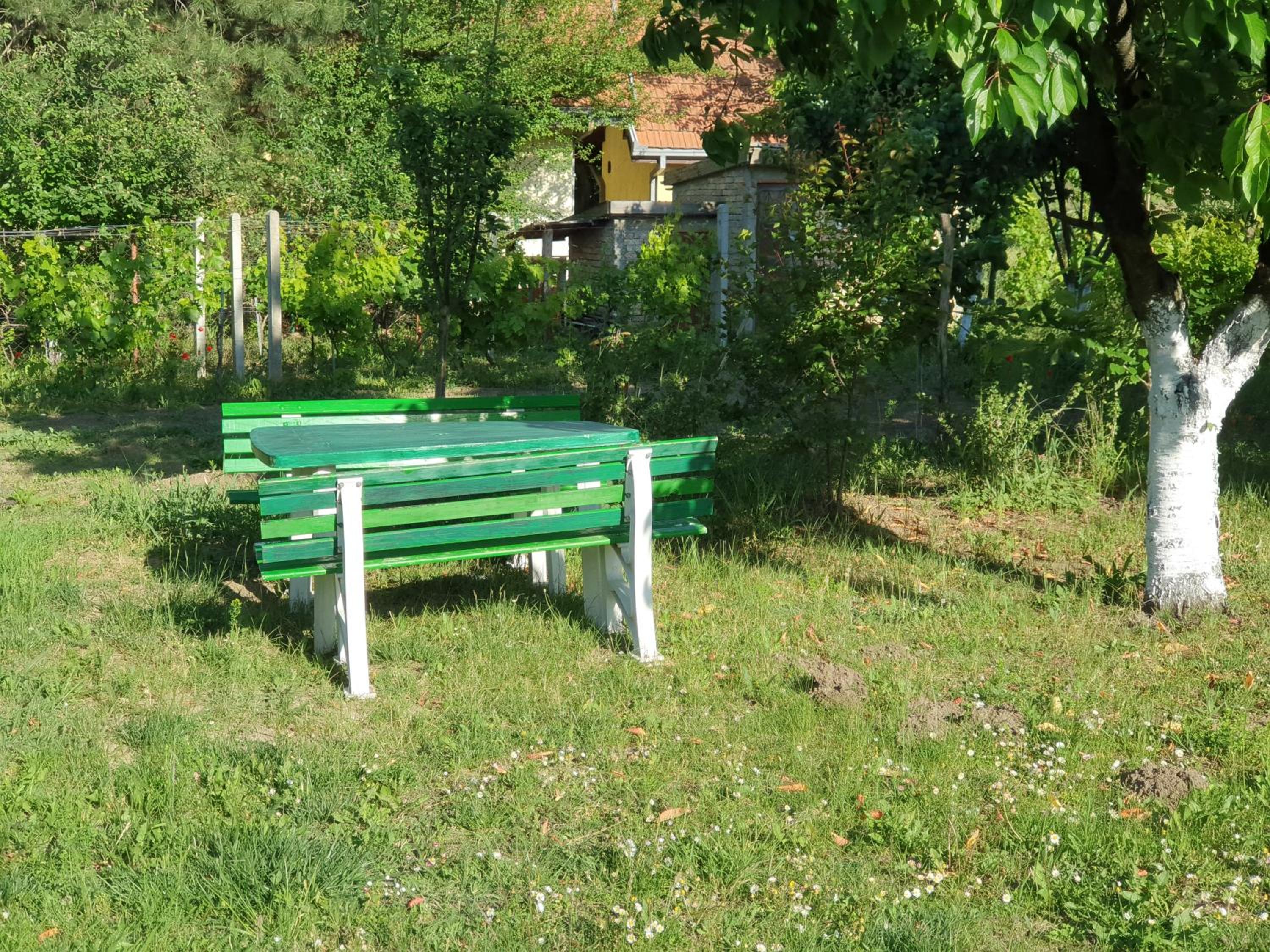 Photo 43