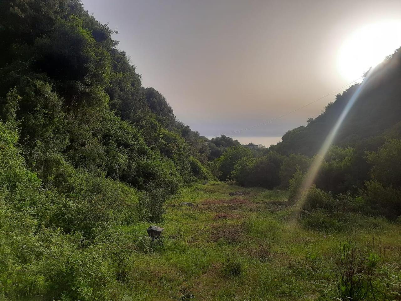 Camping Jungle in Borsh