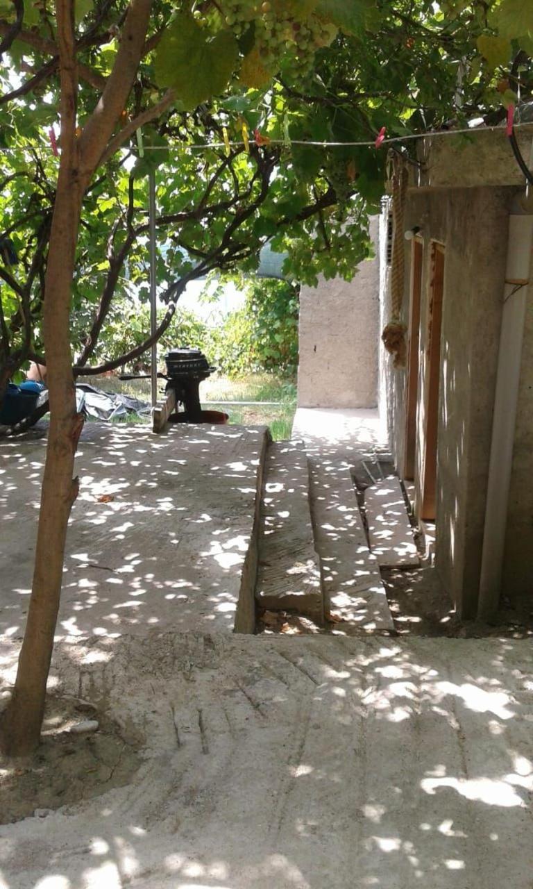 Camping Jungle in Borsh