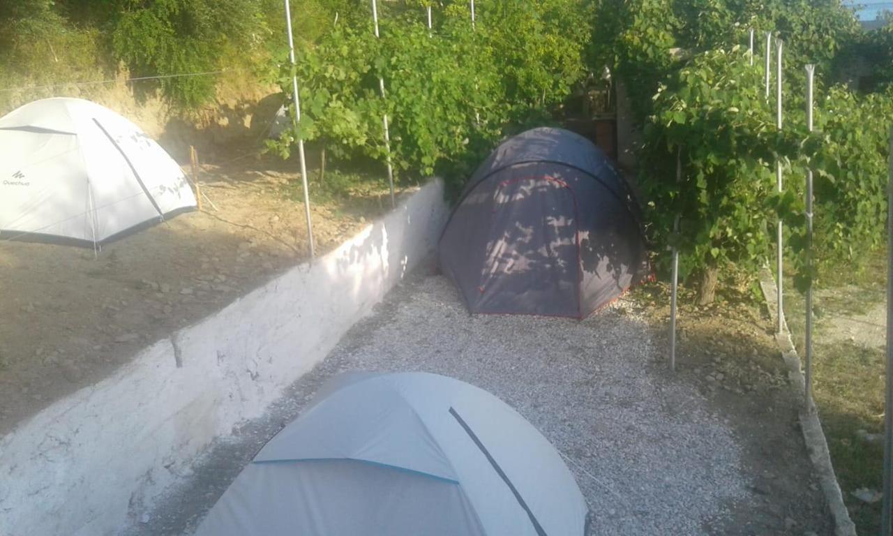 Camping Jungle in Borsh