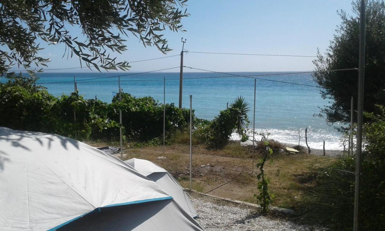 Camping Jungle in Borsh