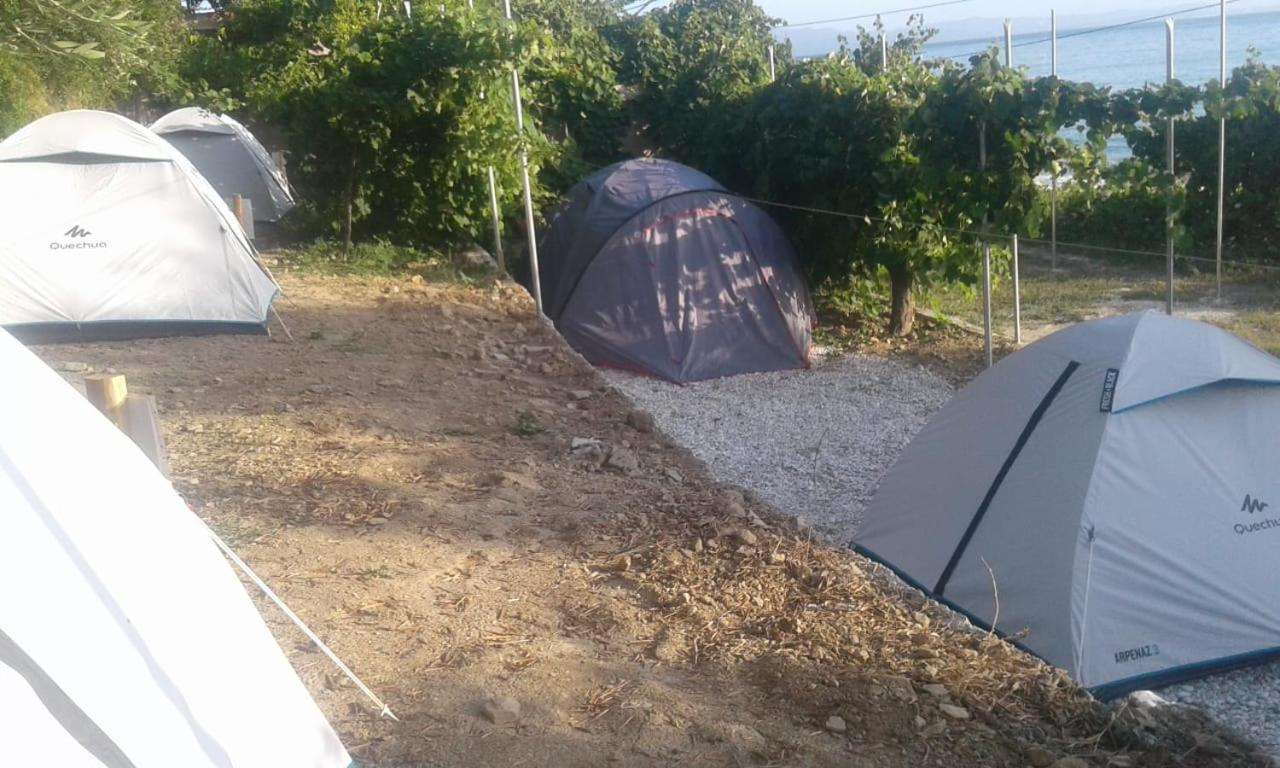 Camping Jungle in Borsh
