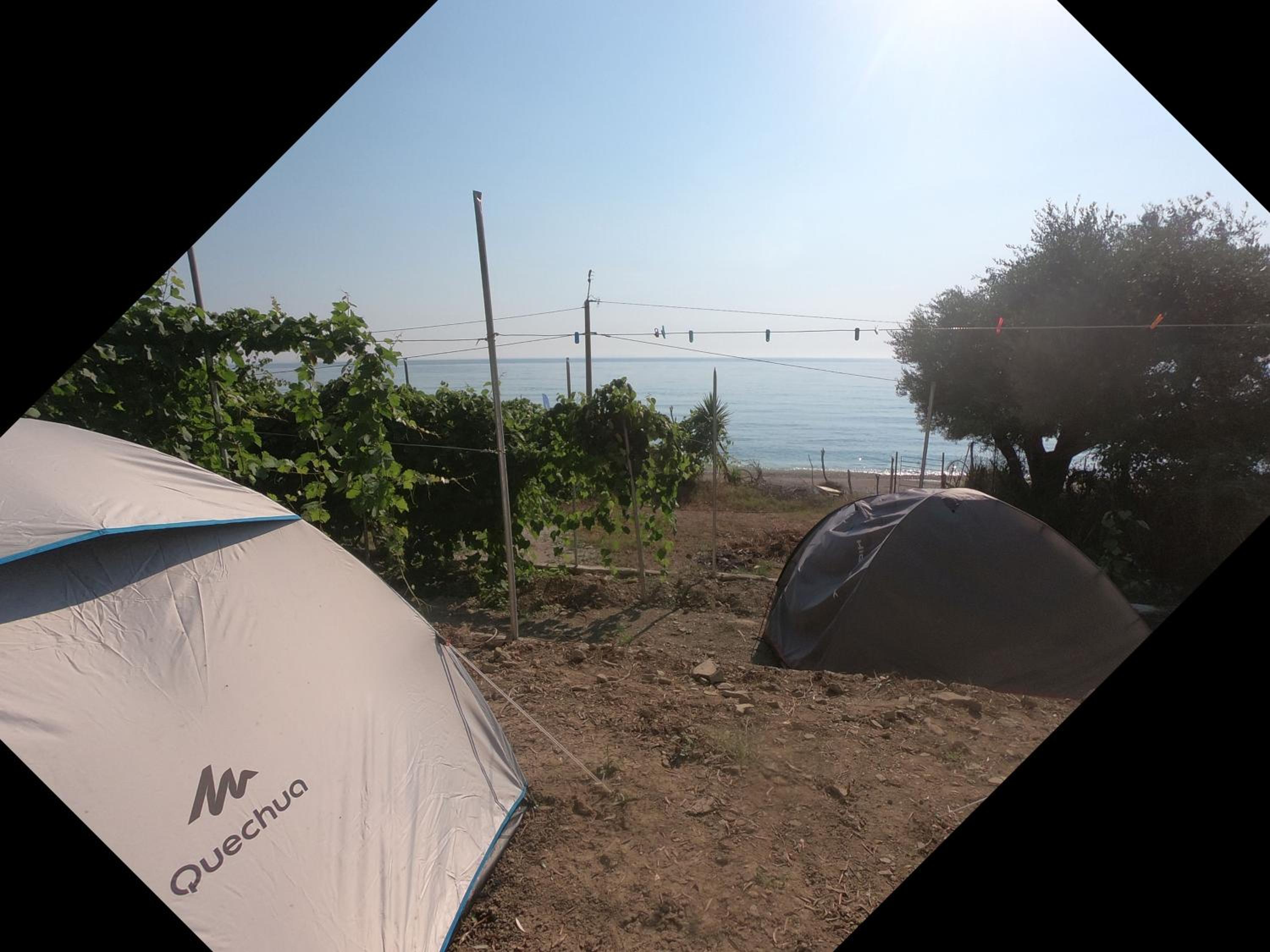 Camping Jungle in Borsh