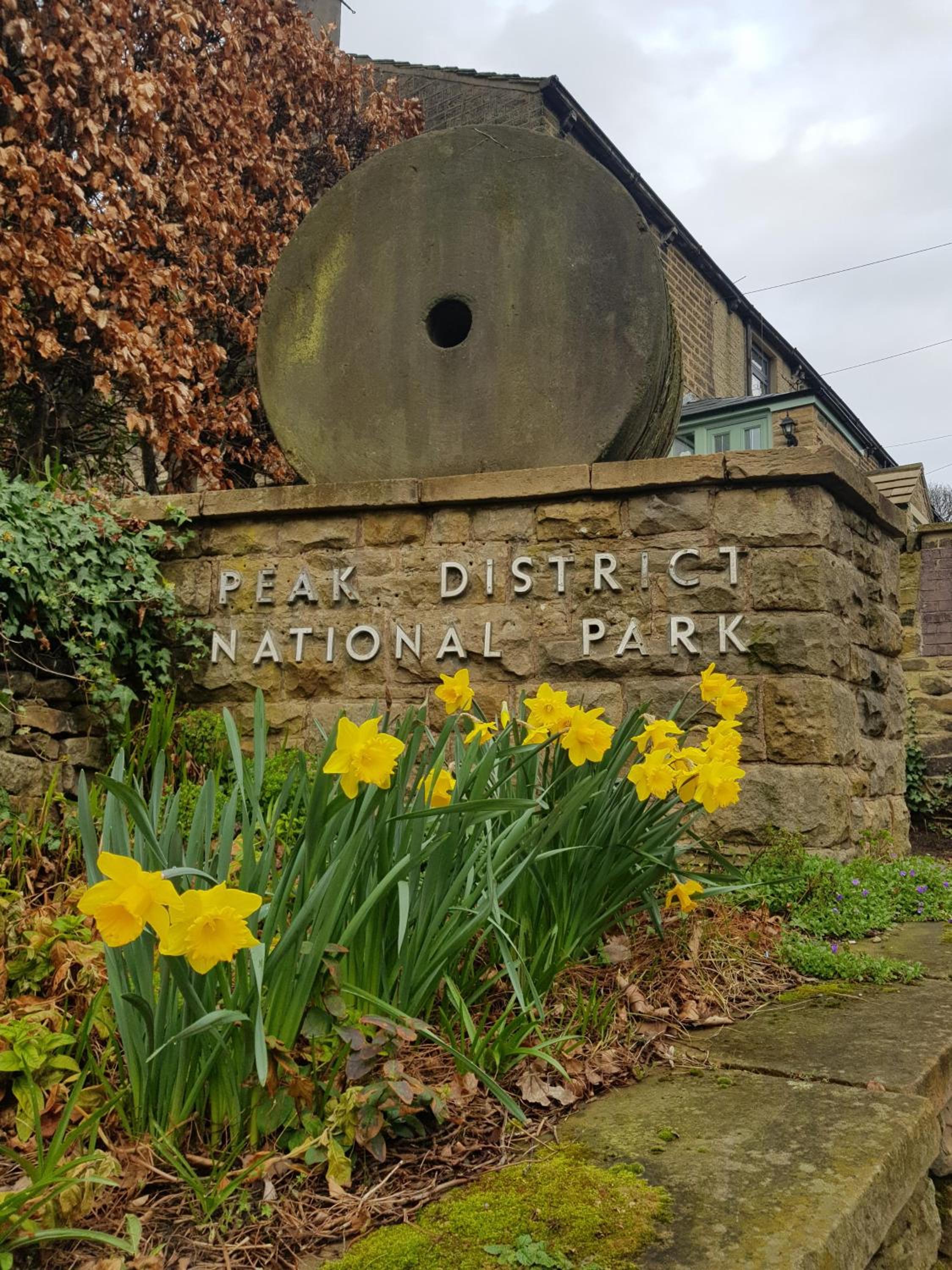Woodcock Farm