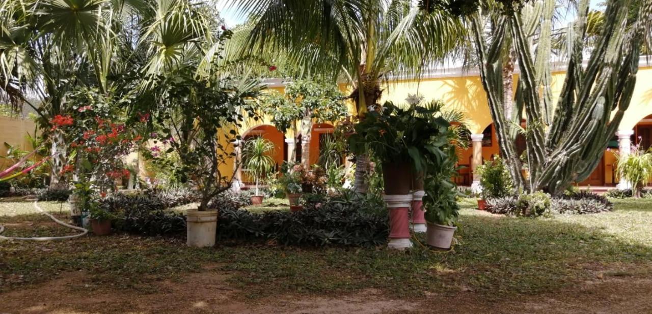Photo 46