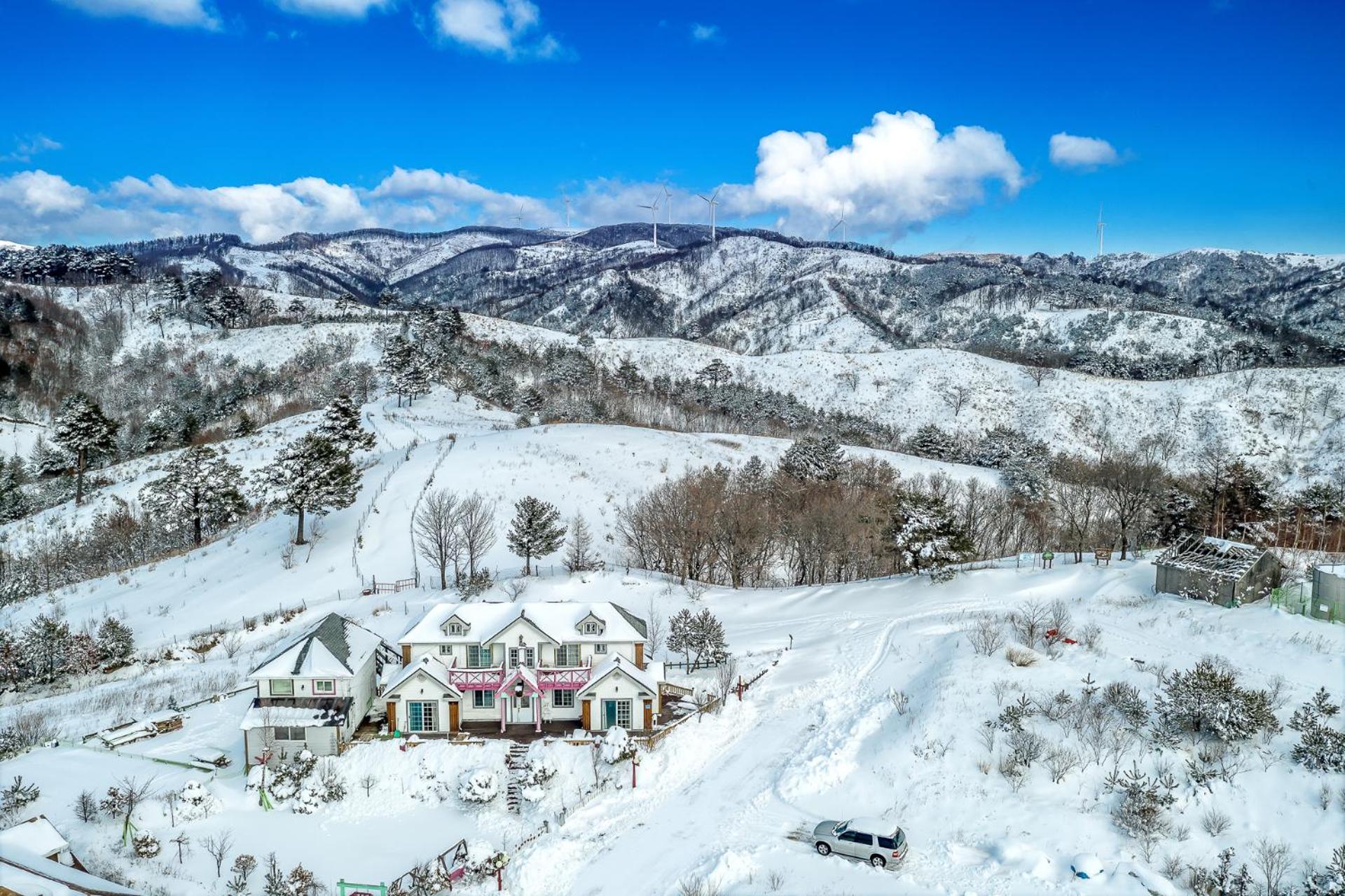 Pungcha & Herb Pension, Pyeongchang  - 19
