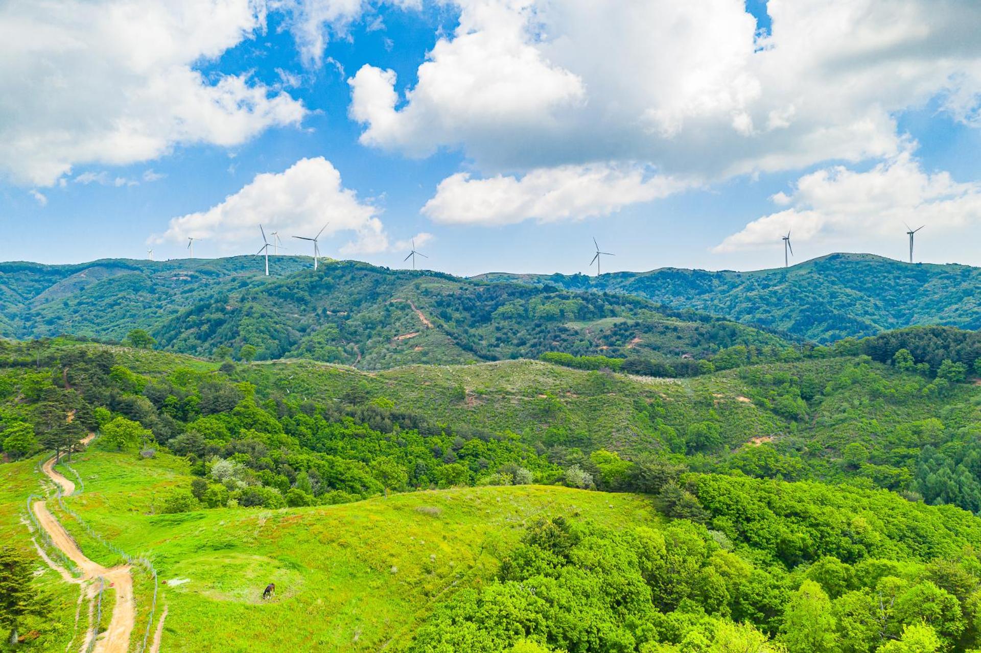 Pungcha & Herb Pension, Pyeongchang  - 10