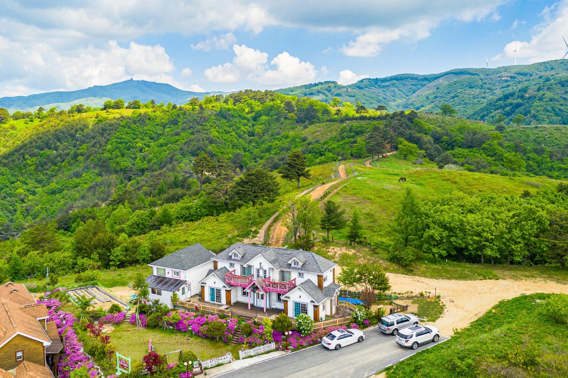 Pungcha & Herb Pension, Pyeongchang  - 1