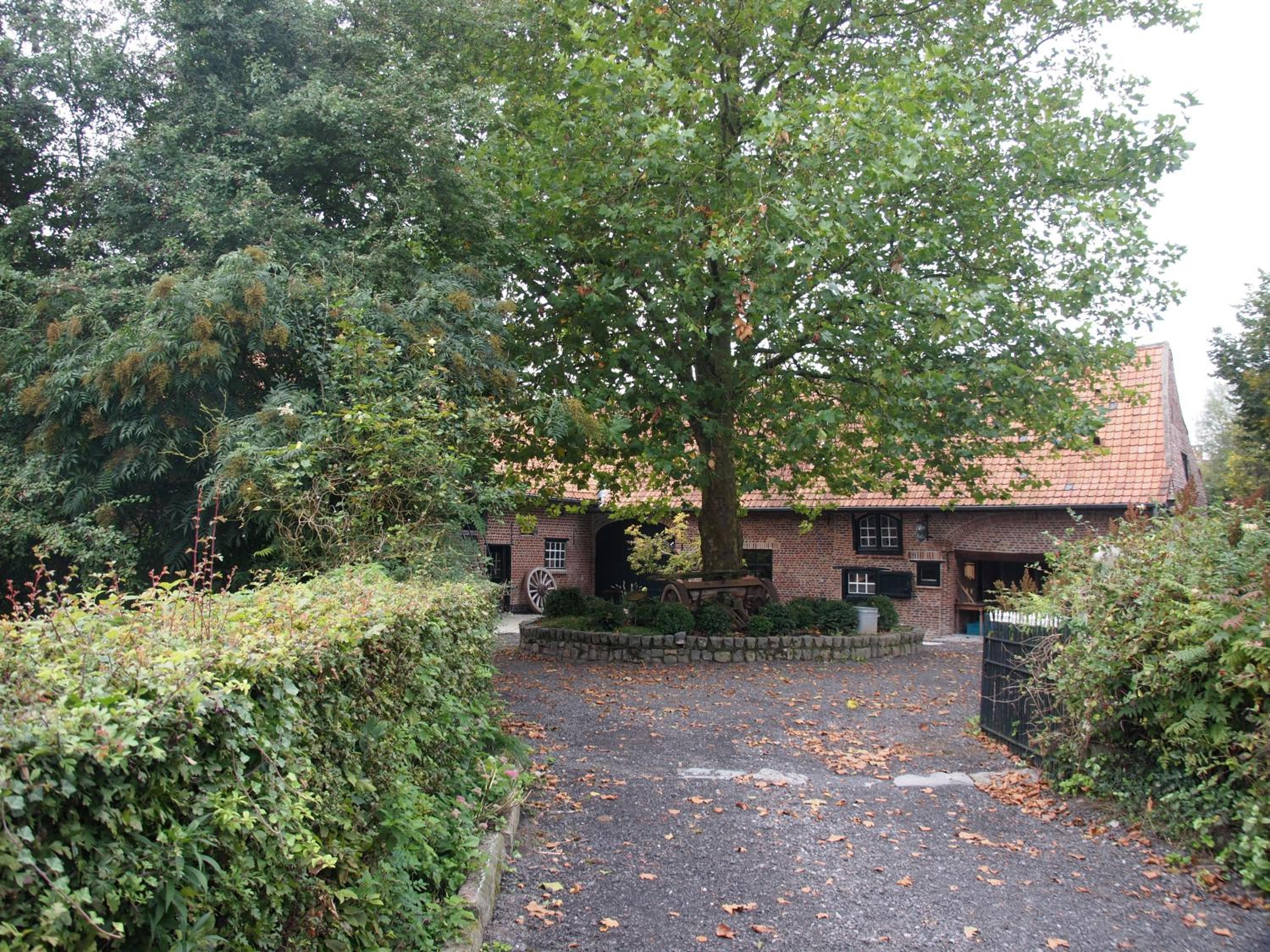 Grote Goesting holiday house