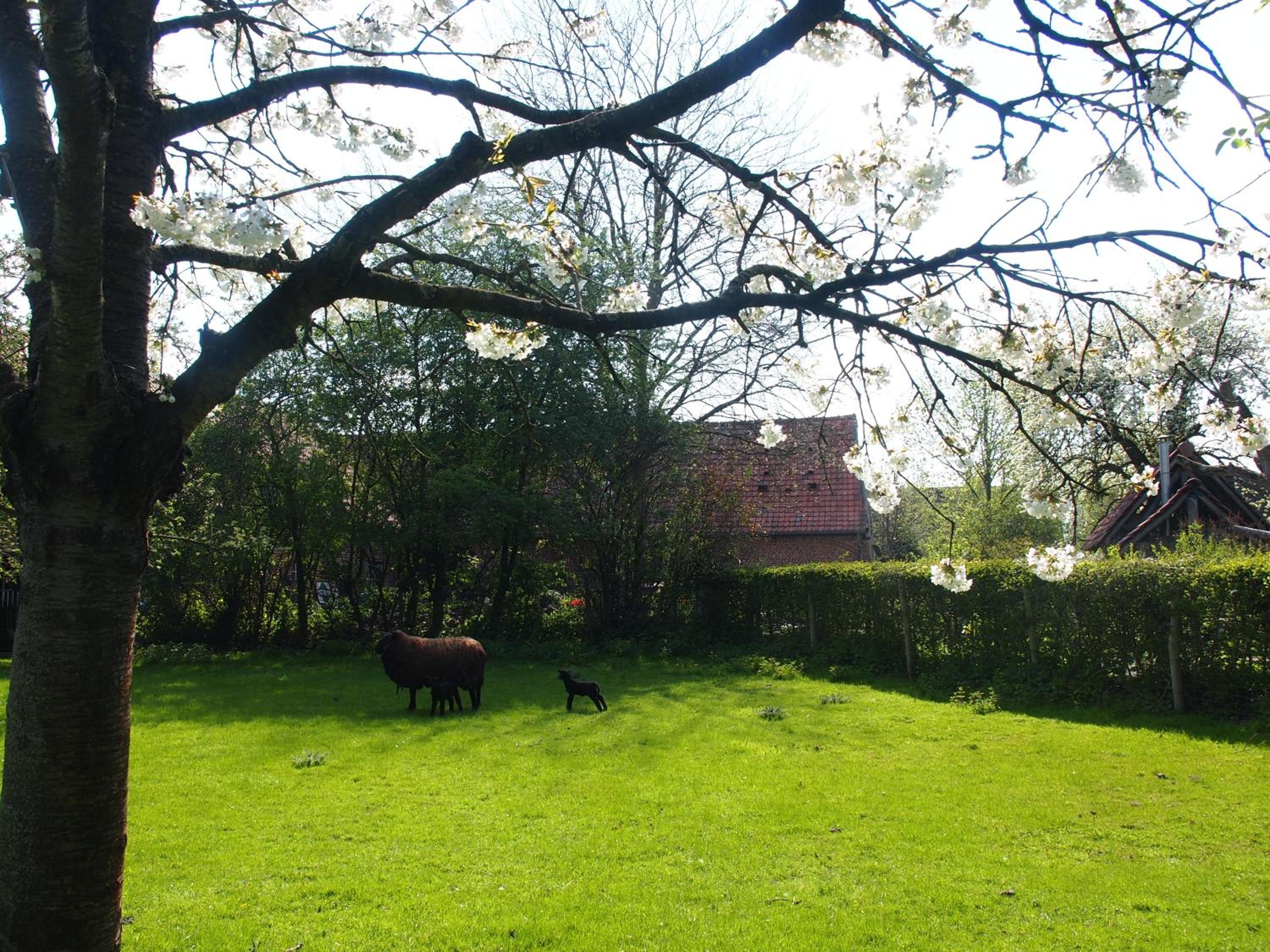 Grote Goesting holiday house