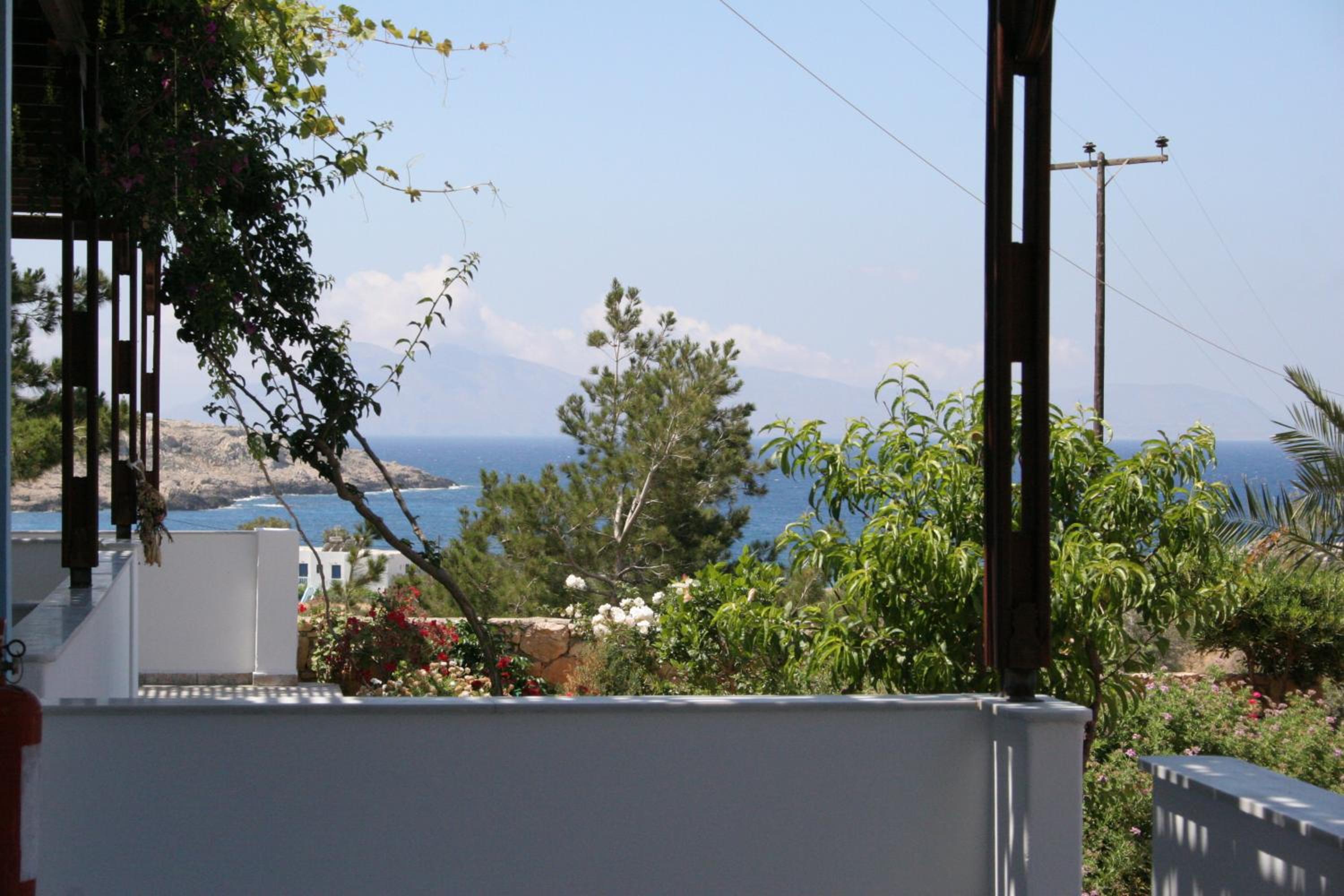 Photo 42