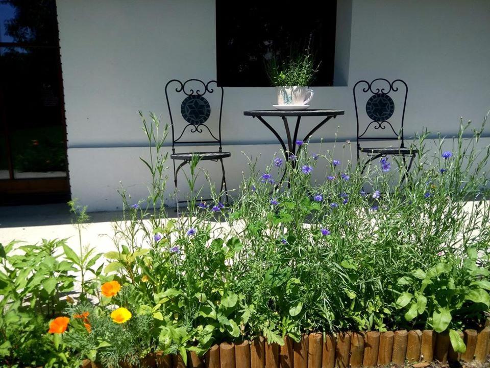 Kutny Residence -Chateau Schaal view 3