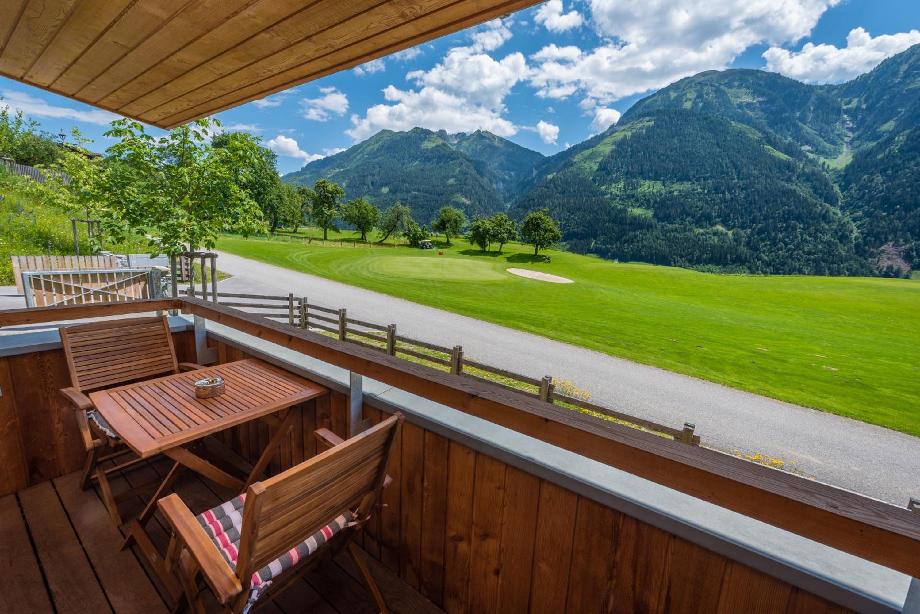 Apartments Bergleben Goldegg view 5