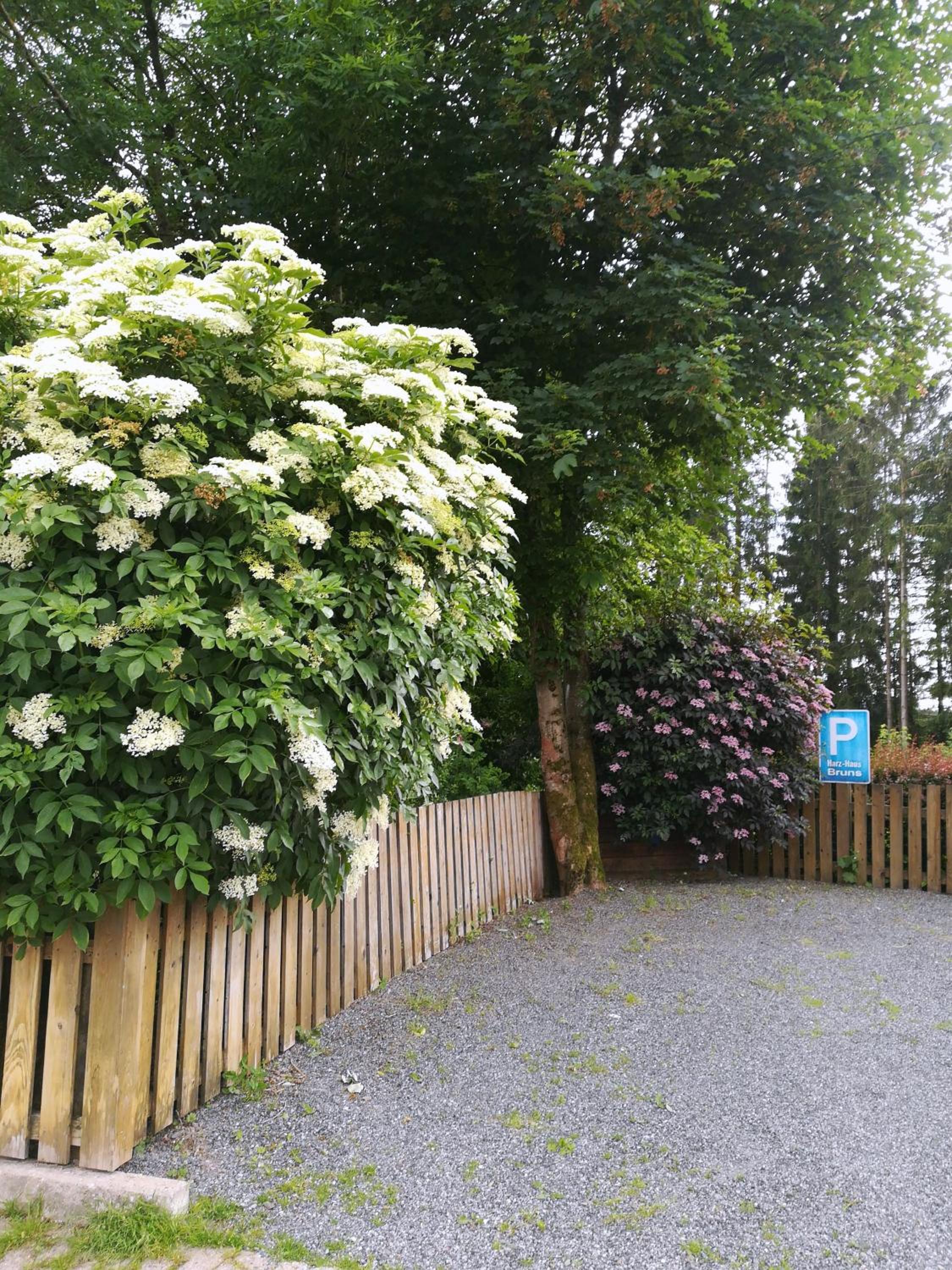 Ferienwohnung im Harz-Haus-Bruns view 4