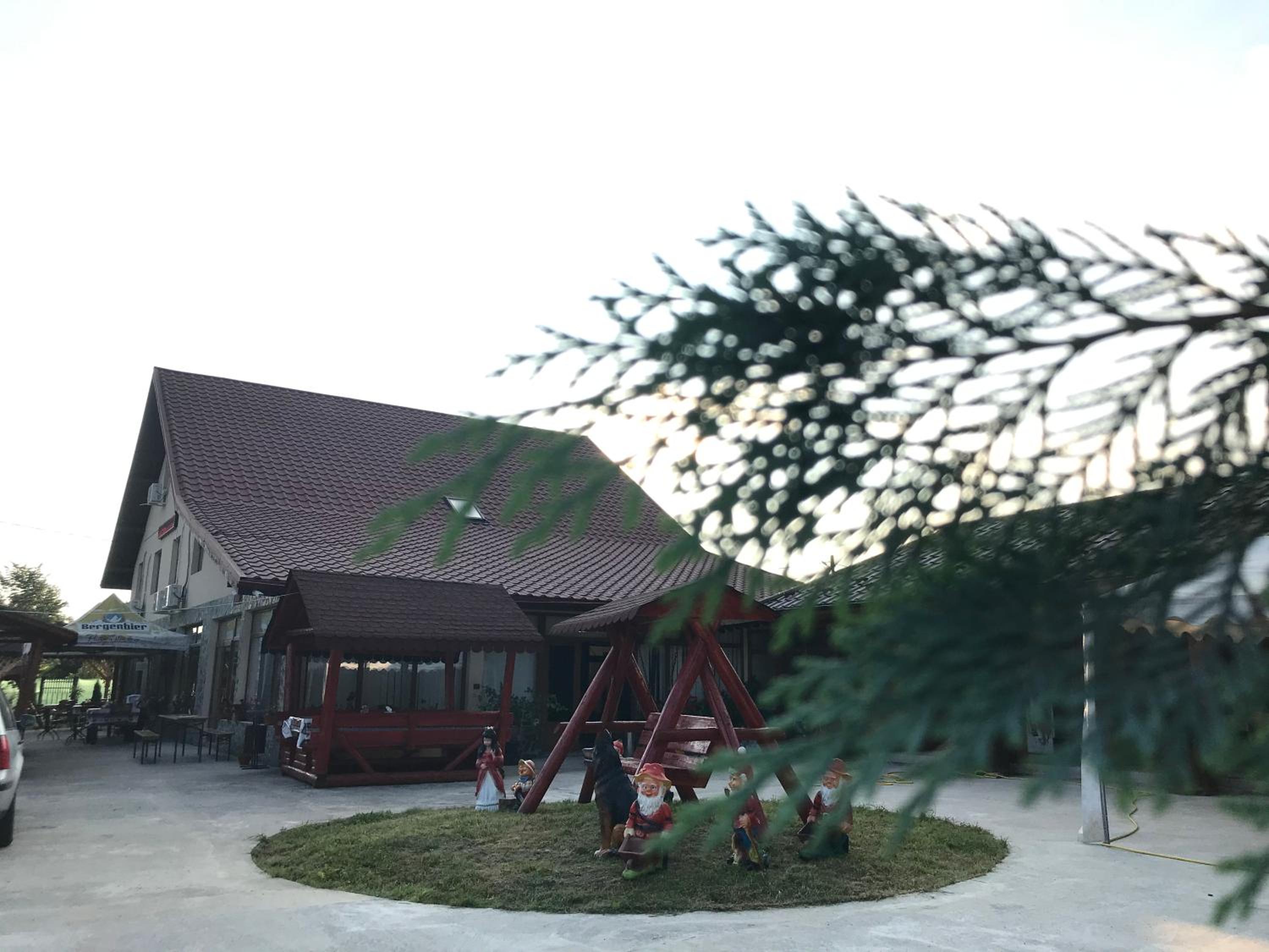 Photo 8