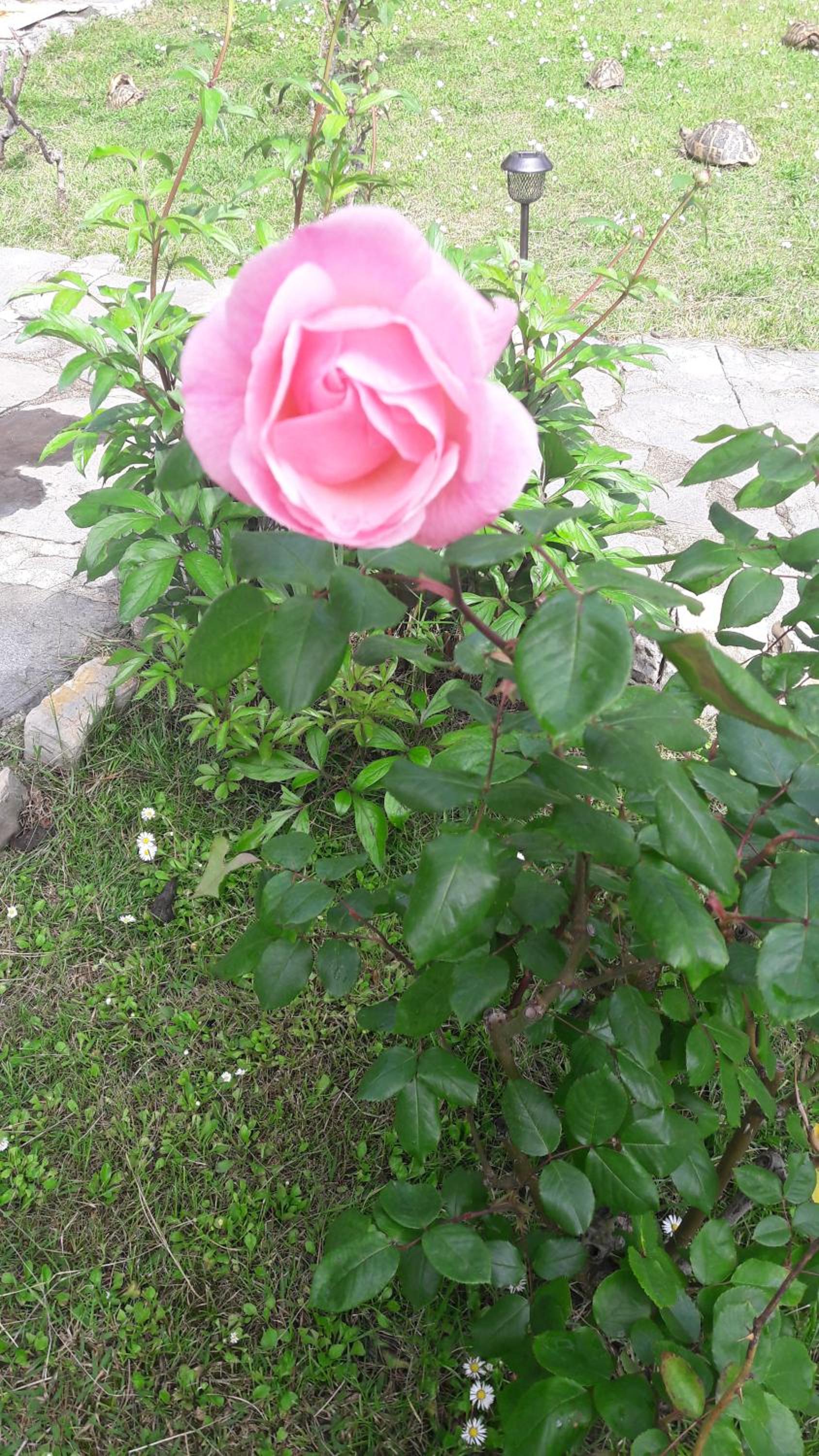Photo 9