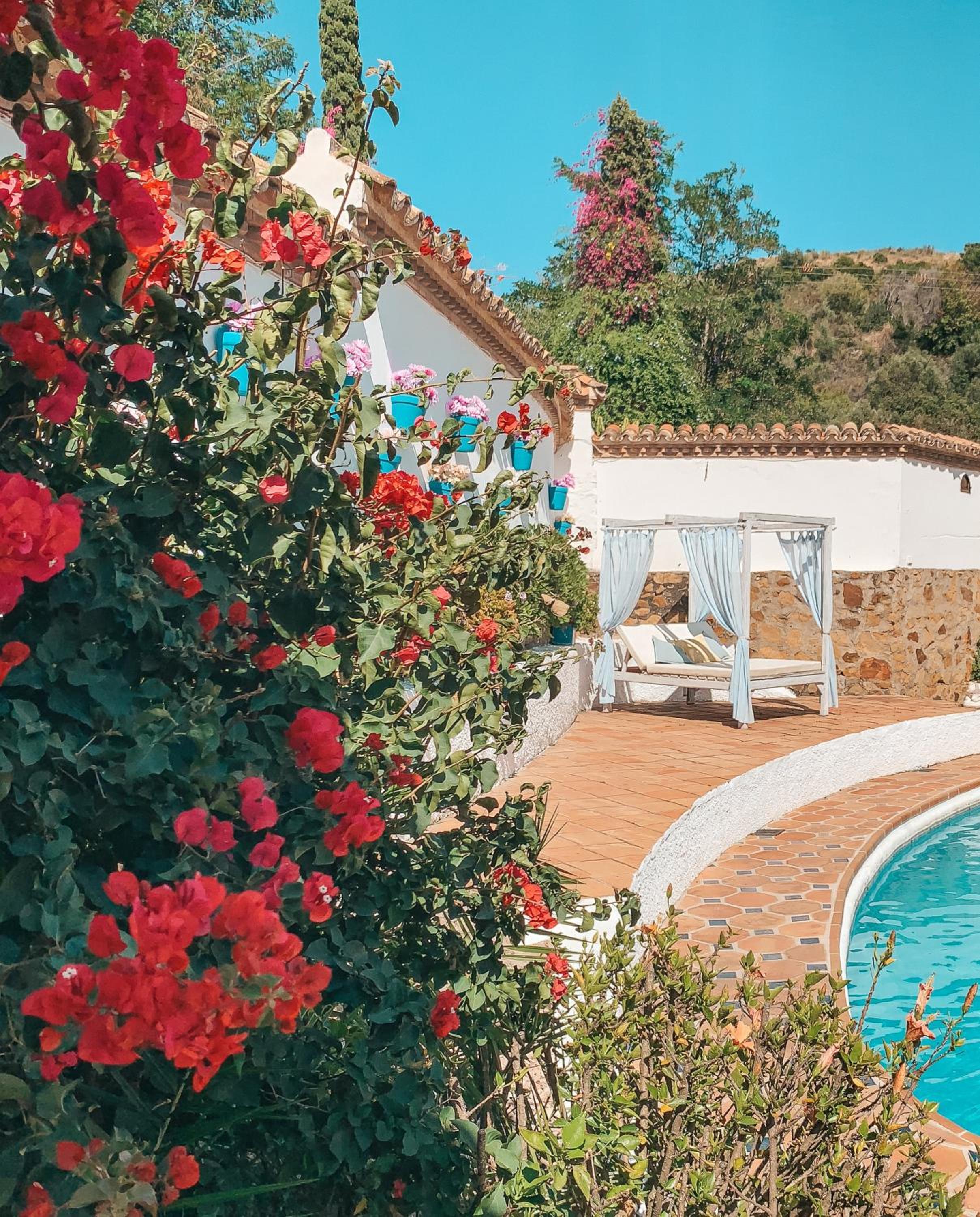 Marbella Vacations - Jardines De La Reina Boutique Bed Breakfast - Property Image 42