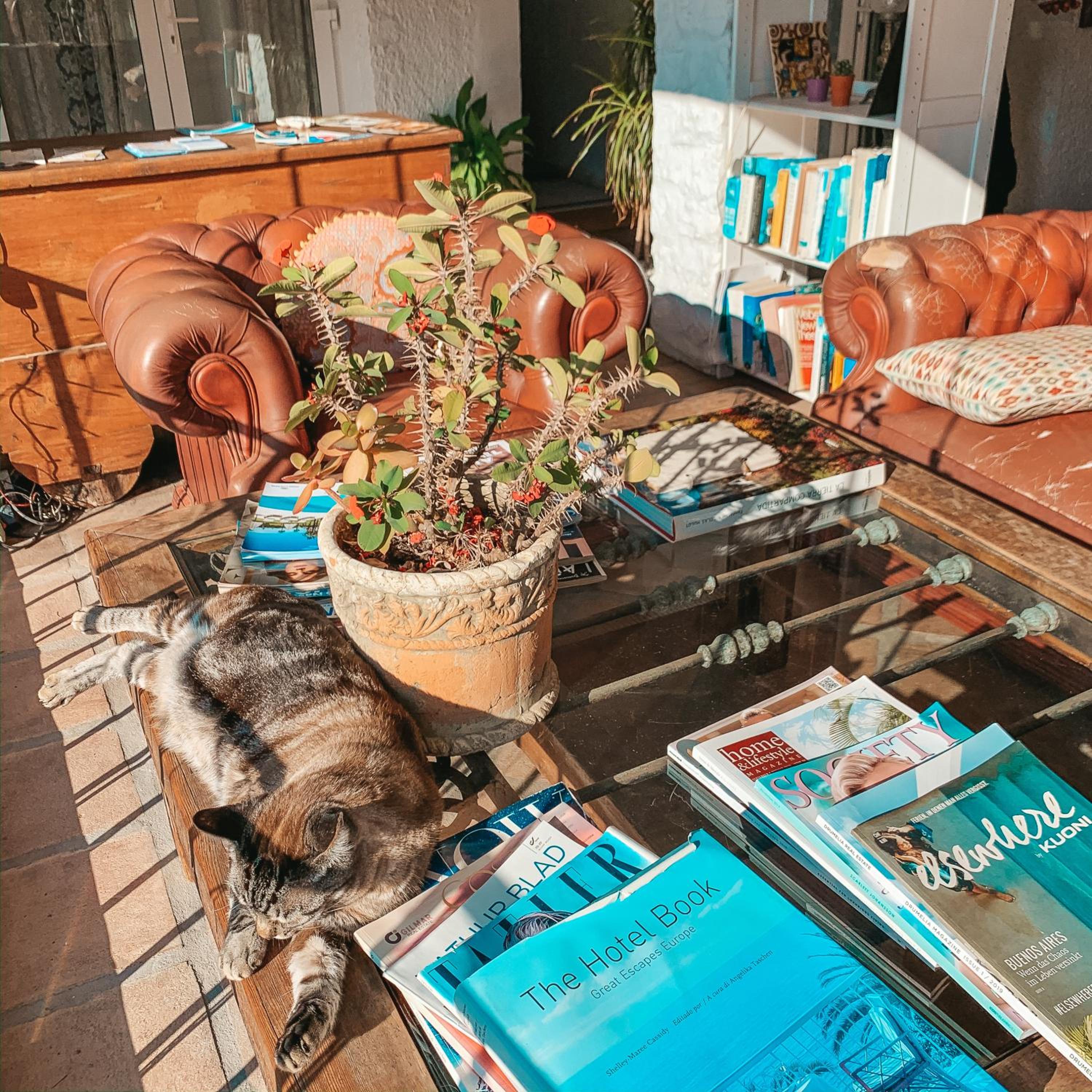 Marbella Vacations - Jardines De La Reina Boutique Bed Breakfast - Property Image 45