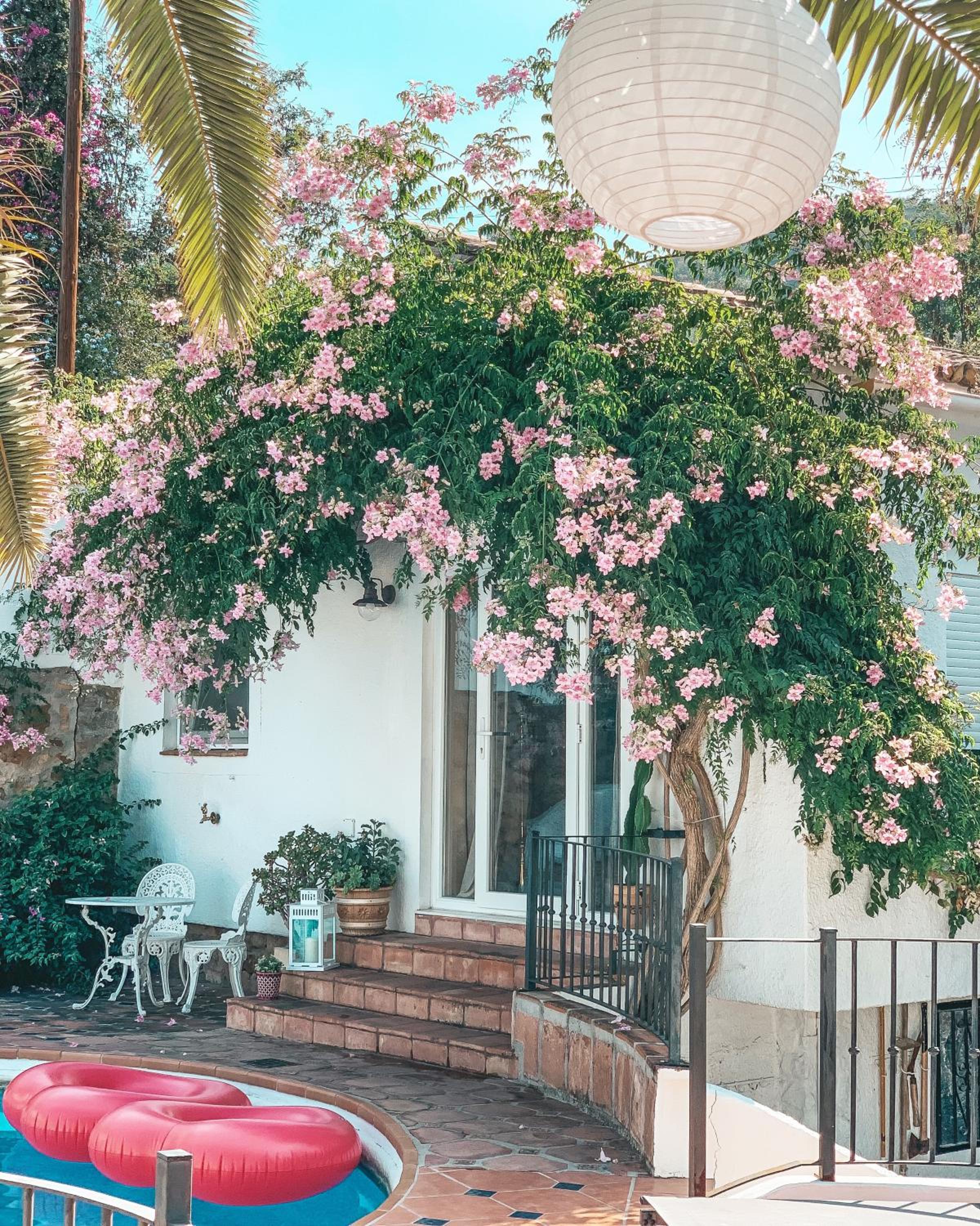 Marbella Vacations - Jardines De La Reina Boutique Bed Breakfast - Property Image 48