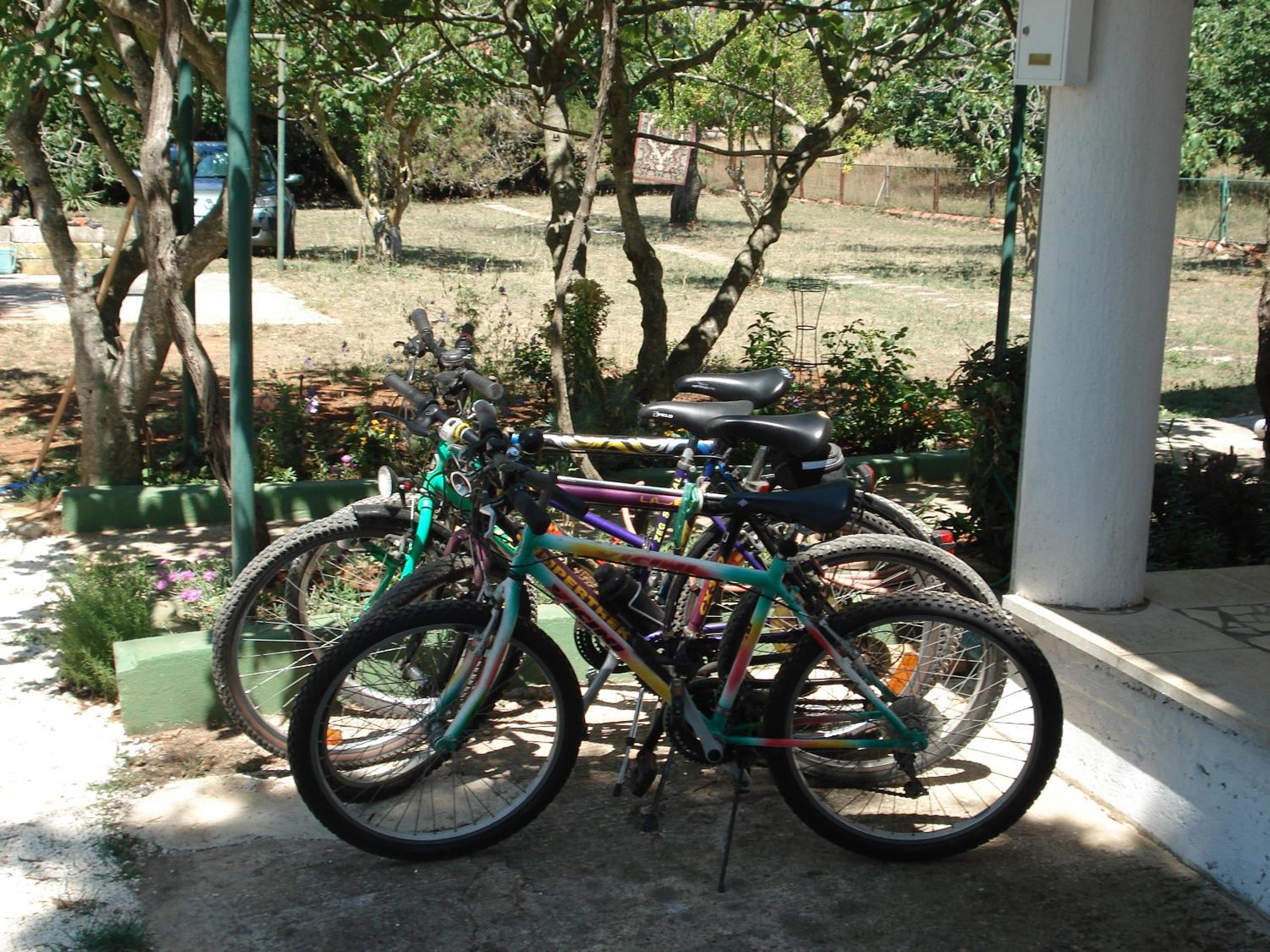 Photo 7