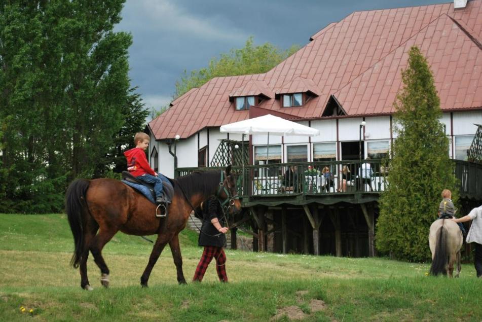 Jabłoniowy Dworek Kociewie view 3