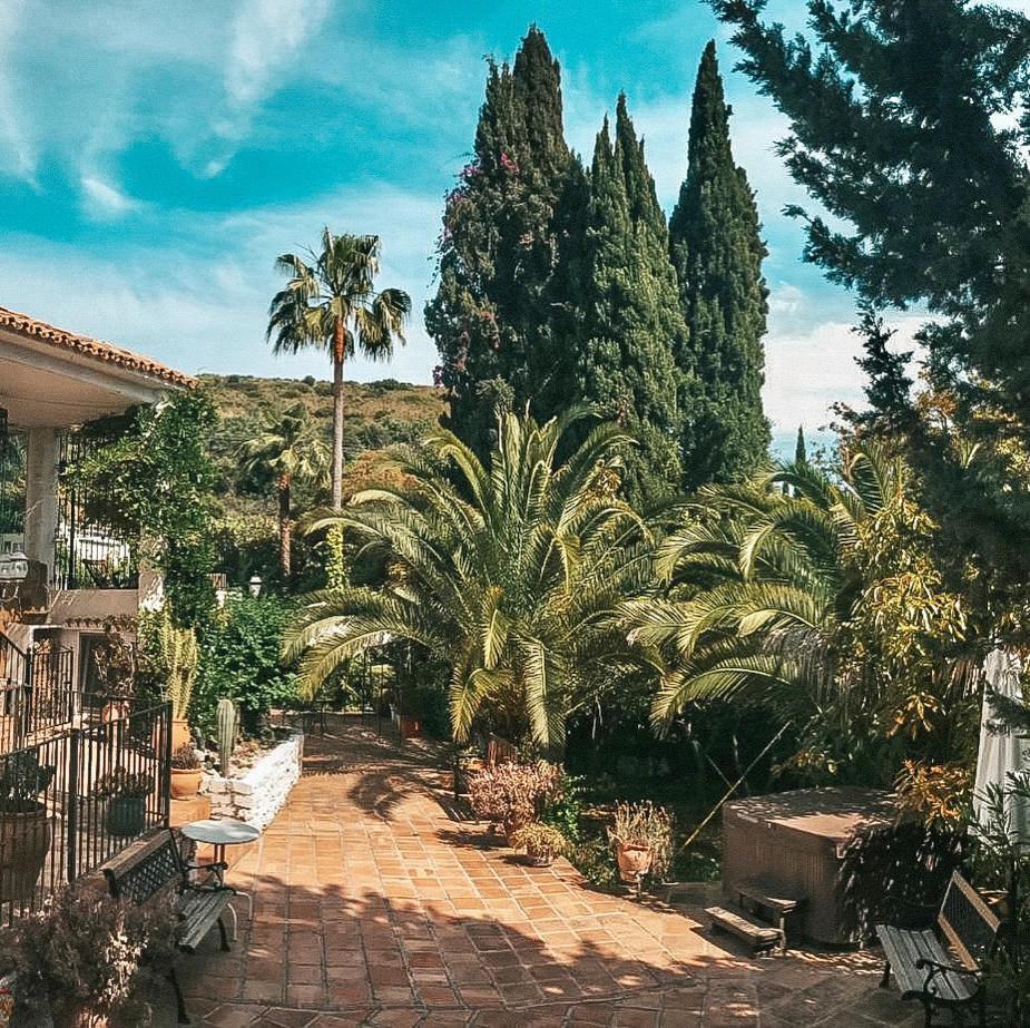 Marbella Vacations - Jardines De La Reina Boutique Bed Breakfast - Property Image 36