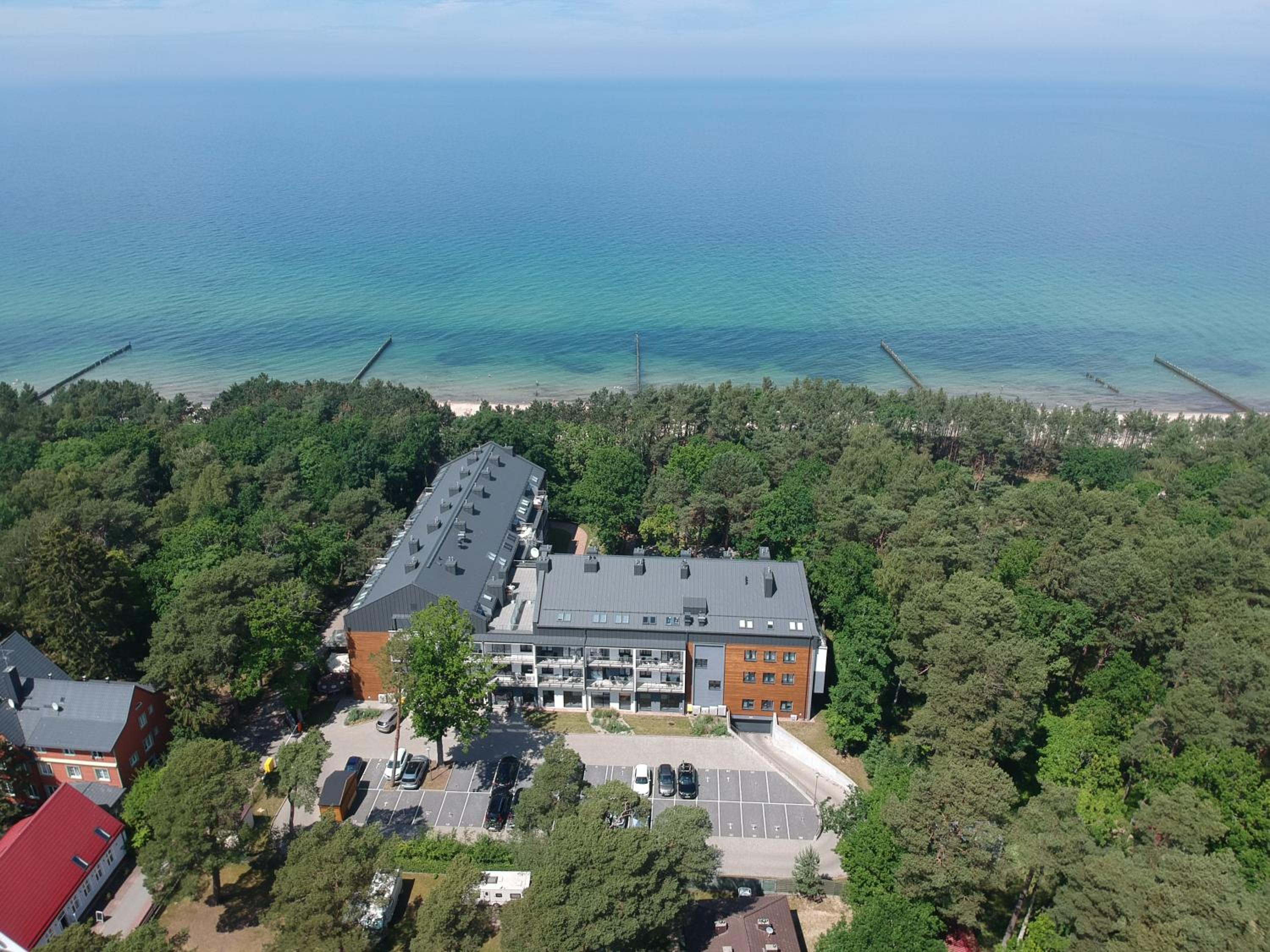 Dwie sosny i świerk view 2