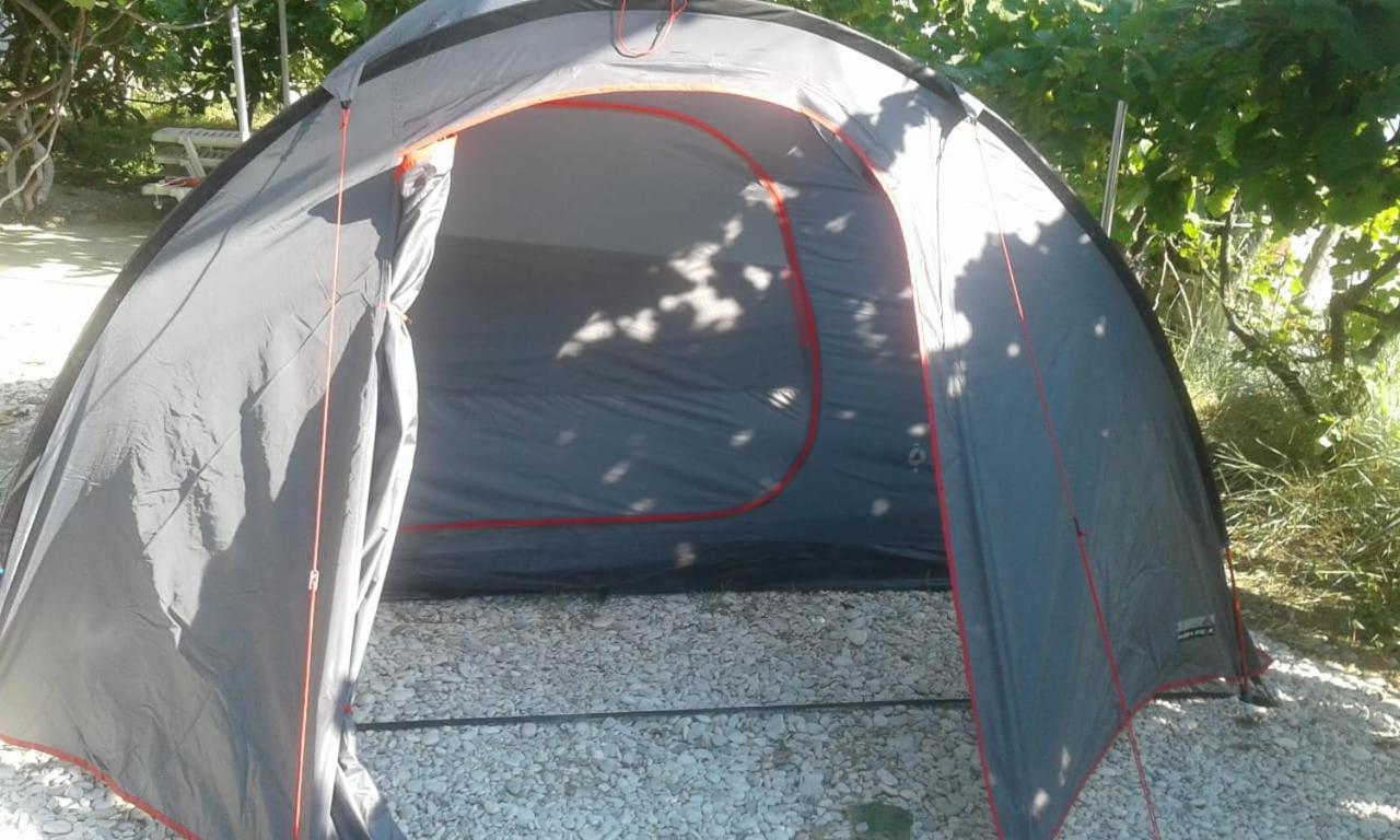 Camping Jungle in Borsh