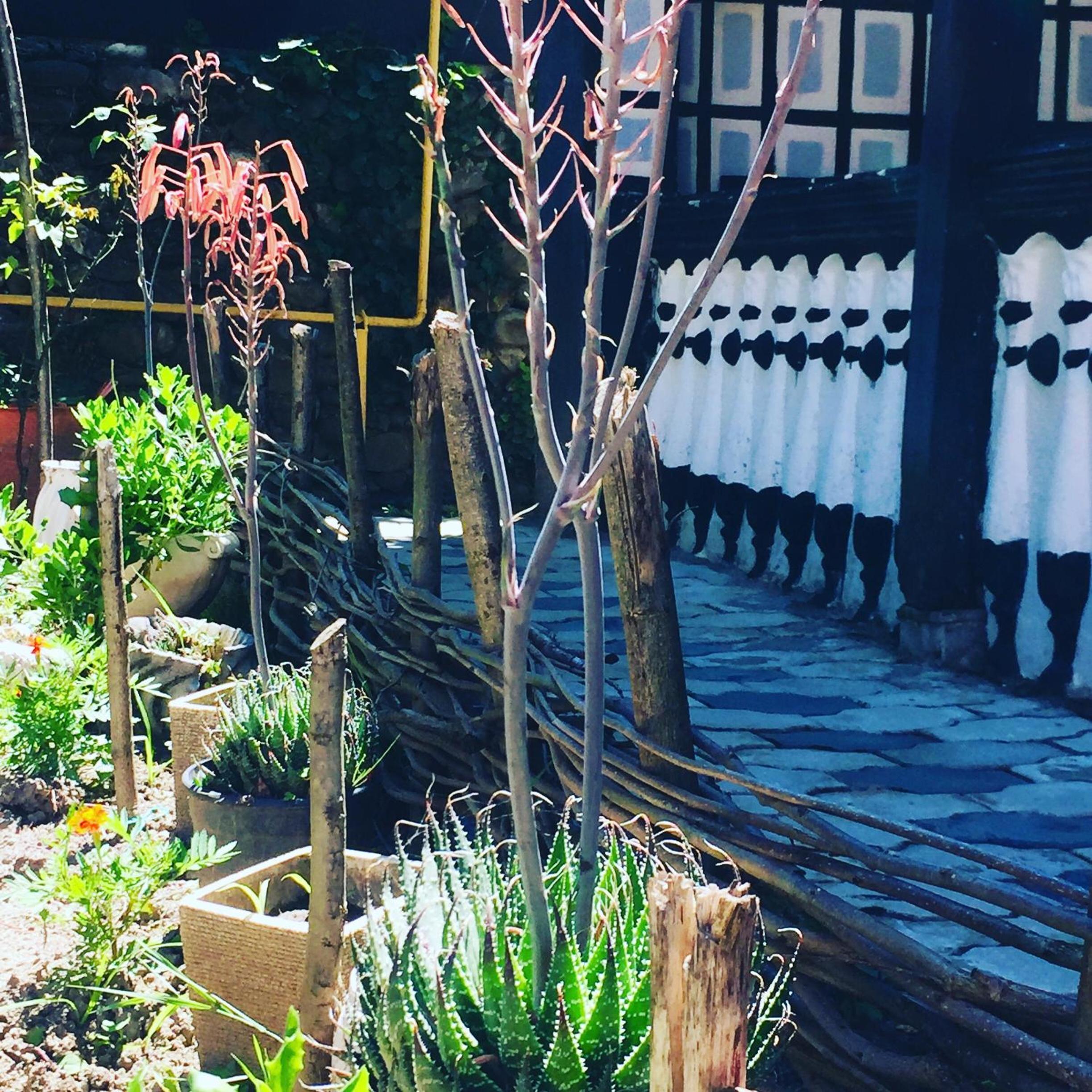 Lazuri Keria Family Guesthouse