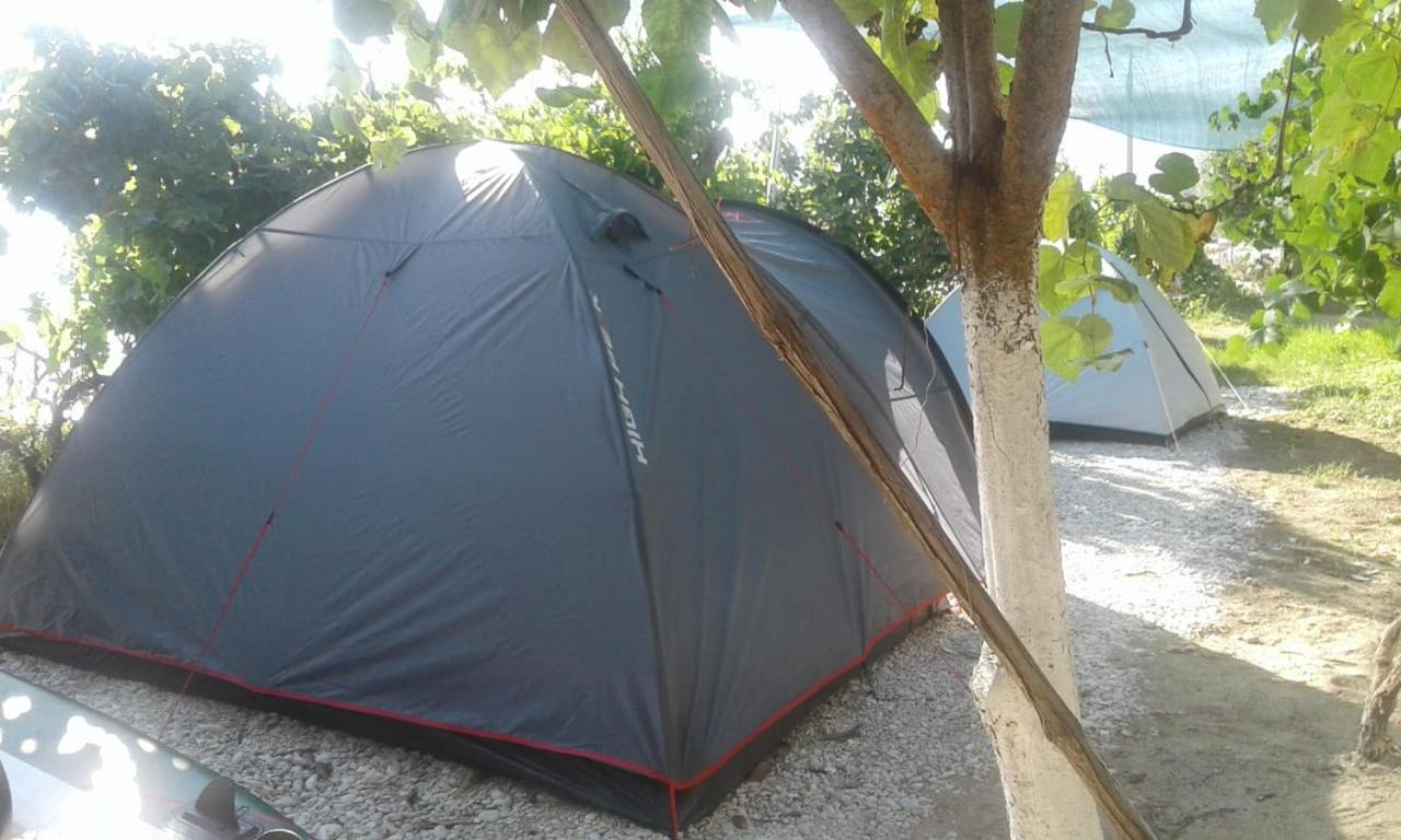 Camping Jungle in Borsh