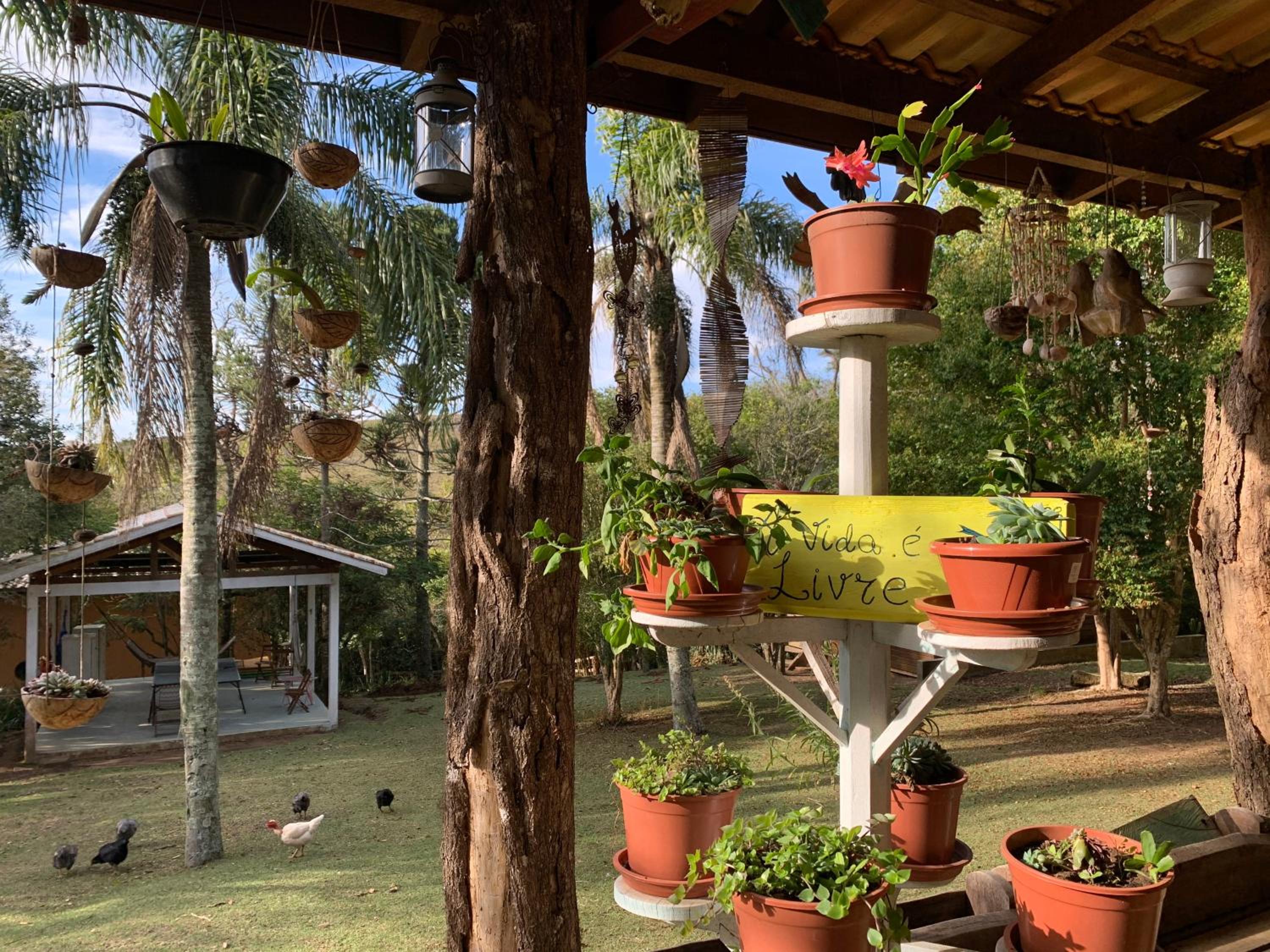 Reserva Natural Aguaraguazu Cânion Guartelá