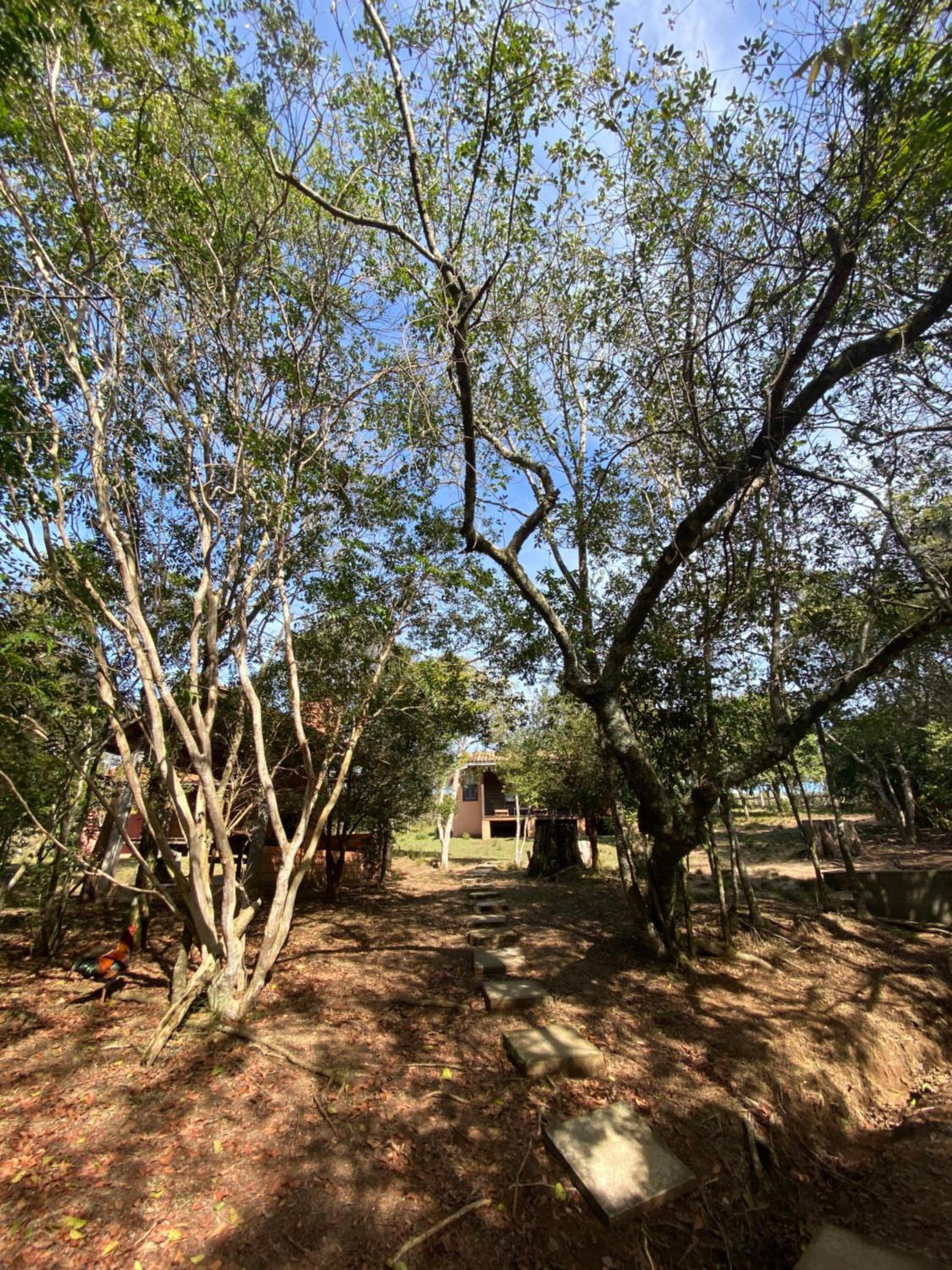 Reserva Natural Aguaraguazu Cânion Guartelá