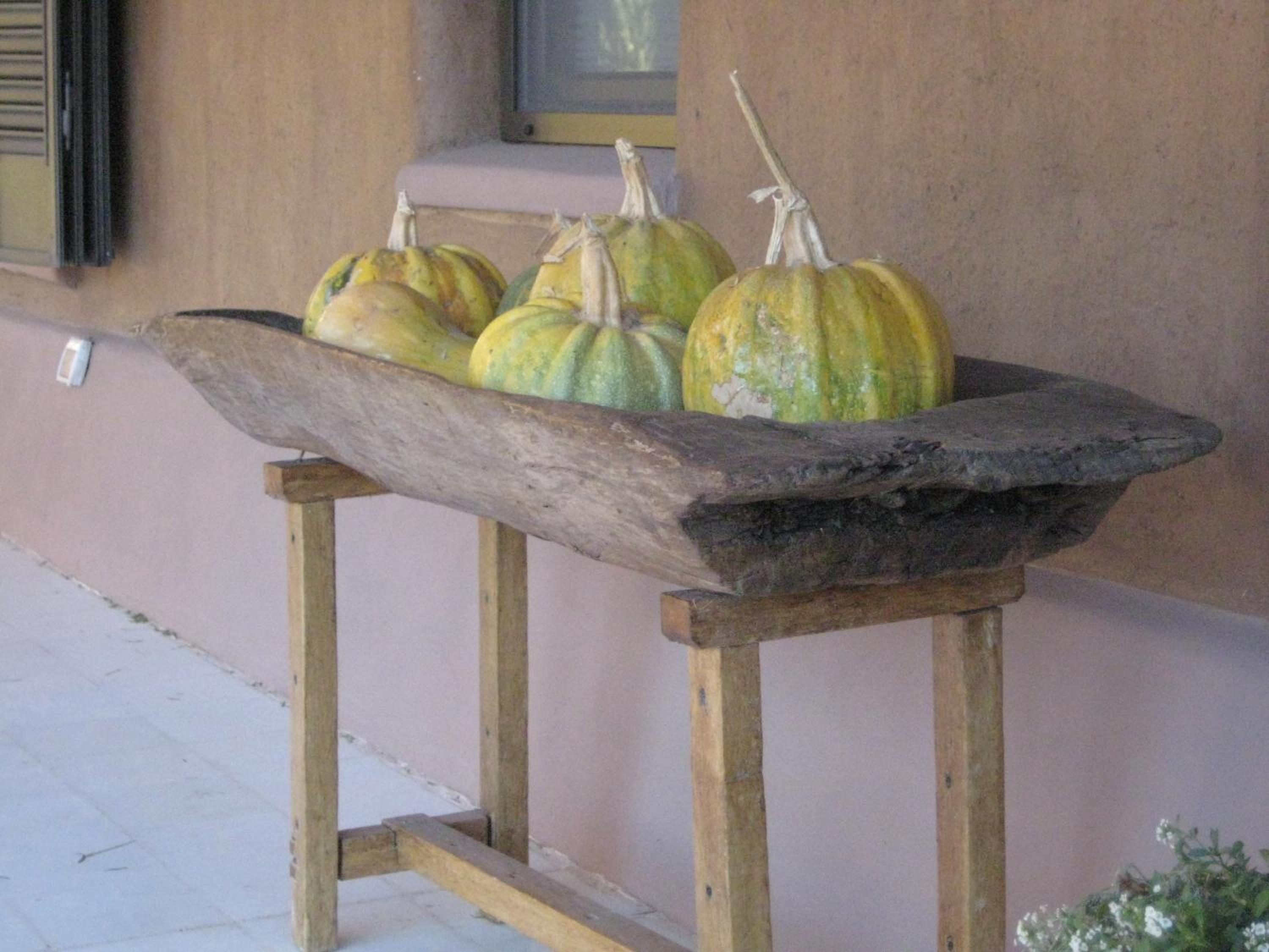 FINCA TIERRA CALMA Casa 1