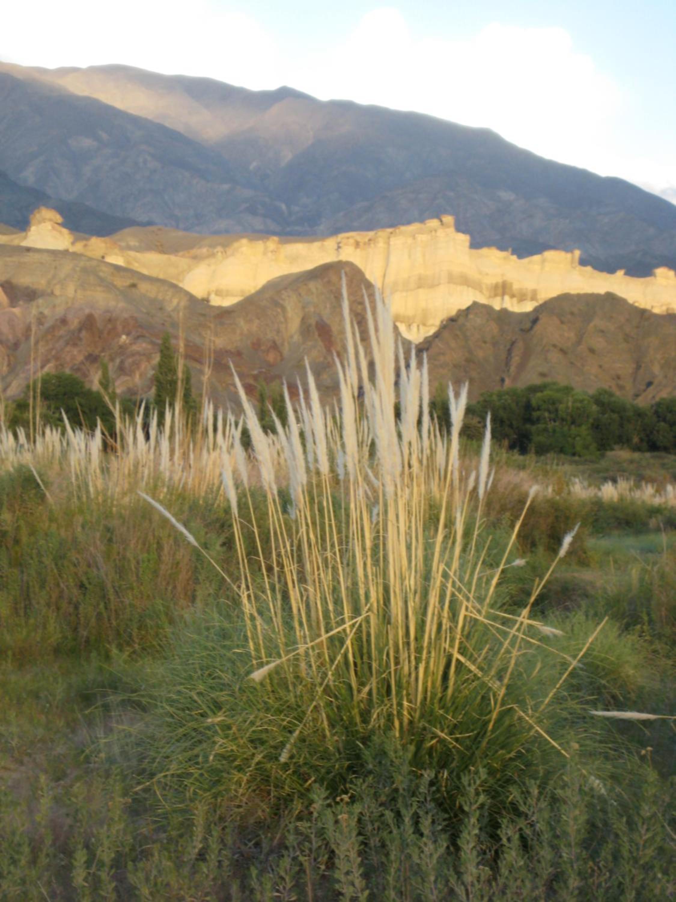 FINCA TIERRA CALMA Casa 1