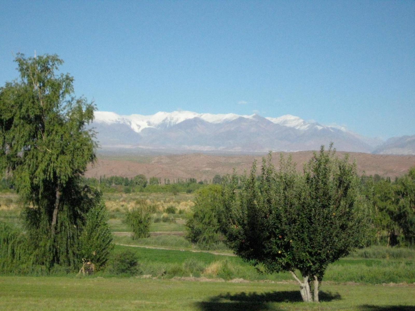 FINCA TIERRA CALMA Casa 1