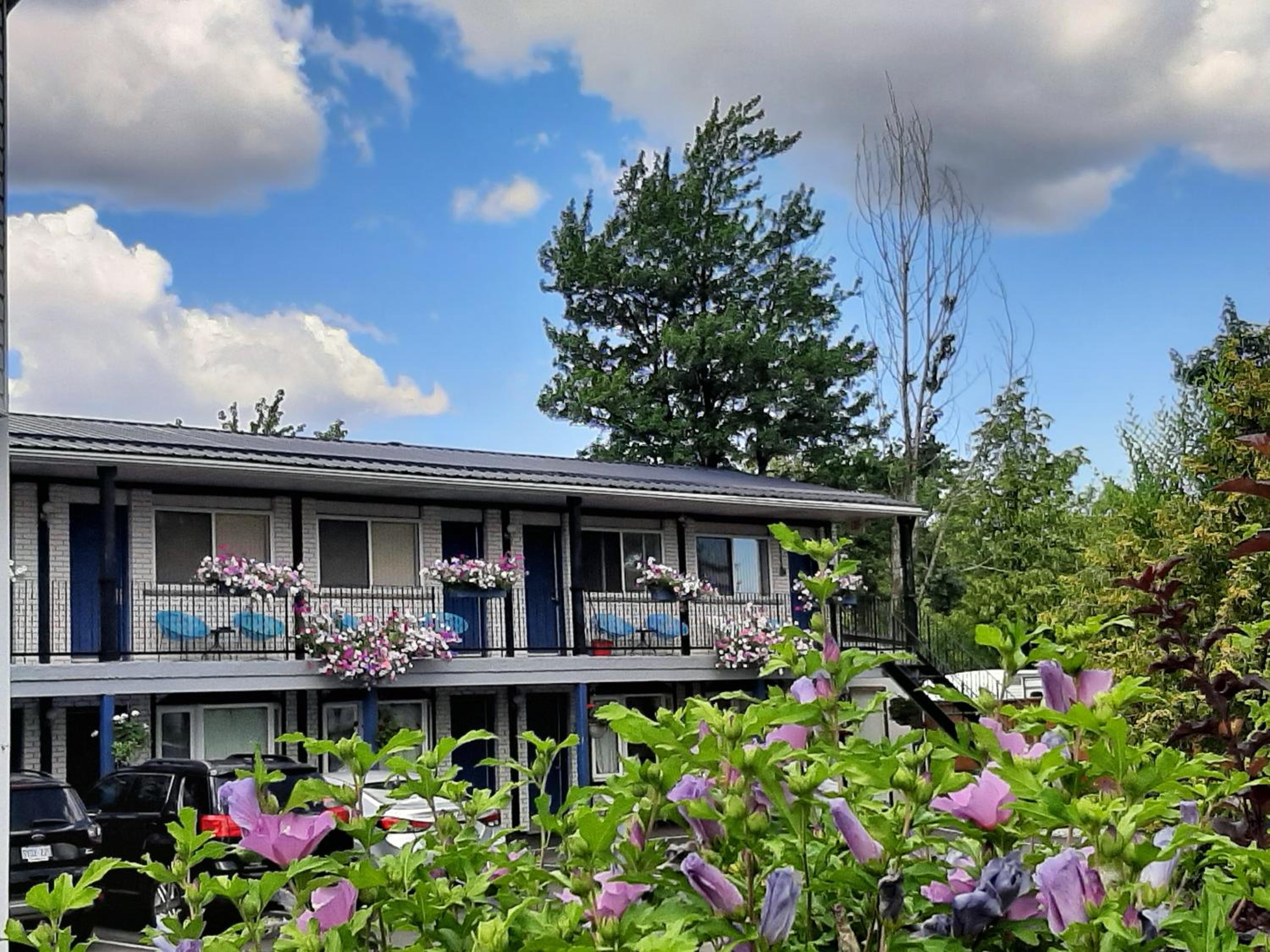 Blue Moon Motel - Image 3