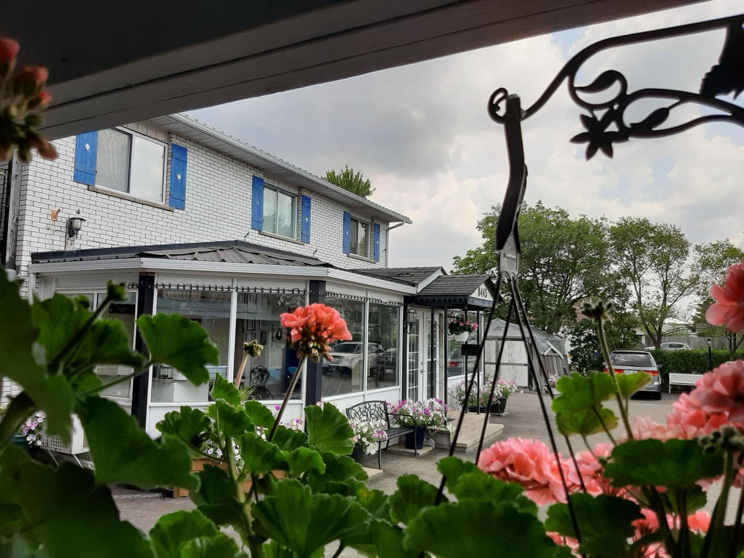 Blue Moon Motel - Image 4