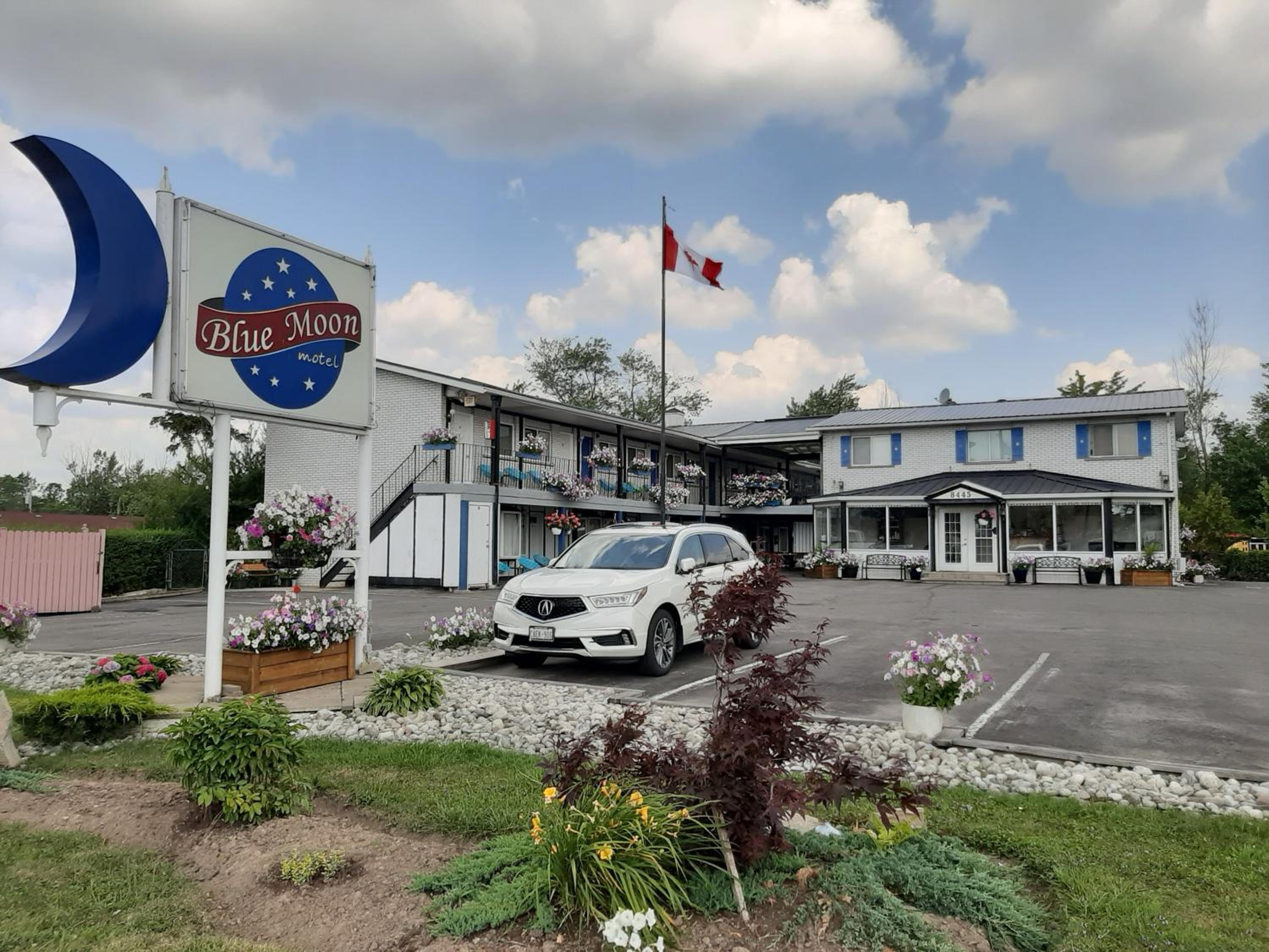 Blue Moon Motel