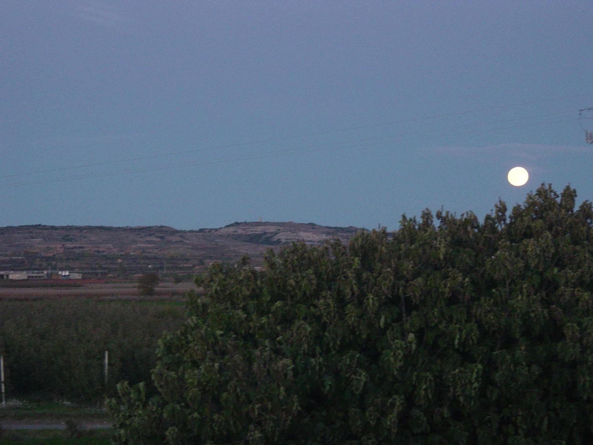 Photo 48