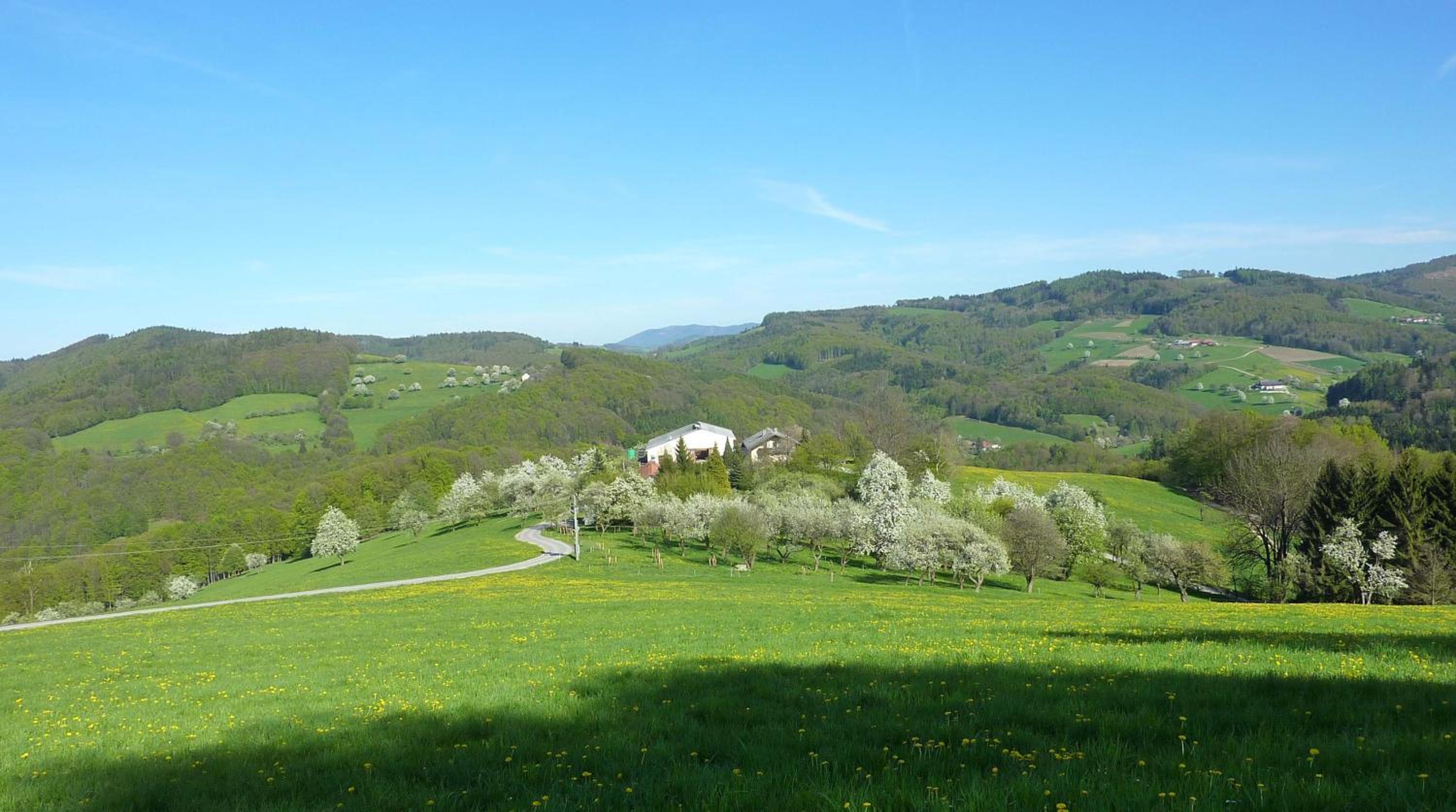 Gölsenhof - Fam. Büchinger