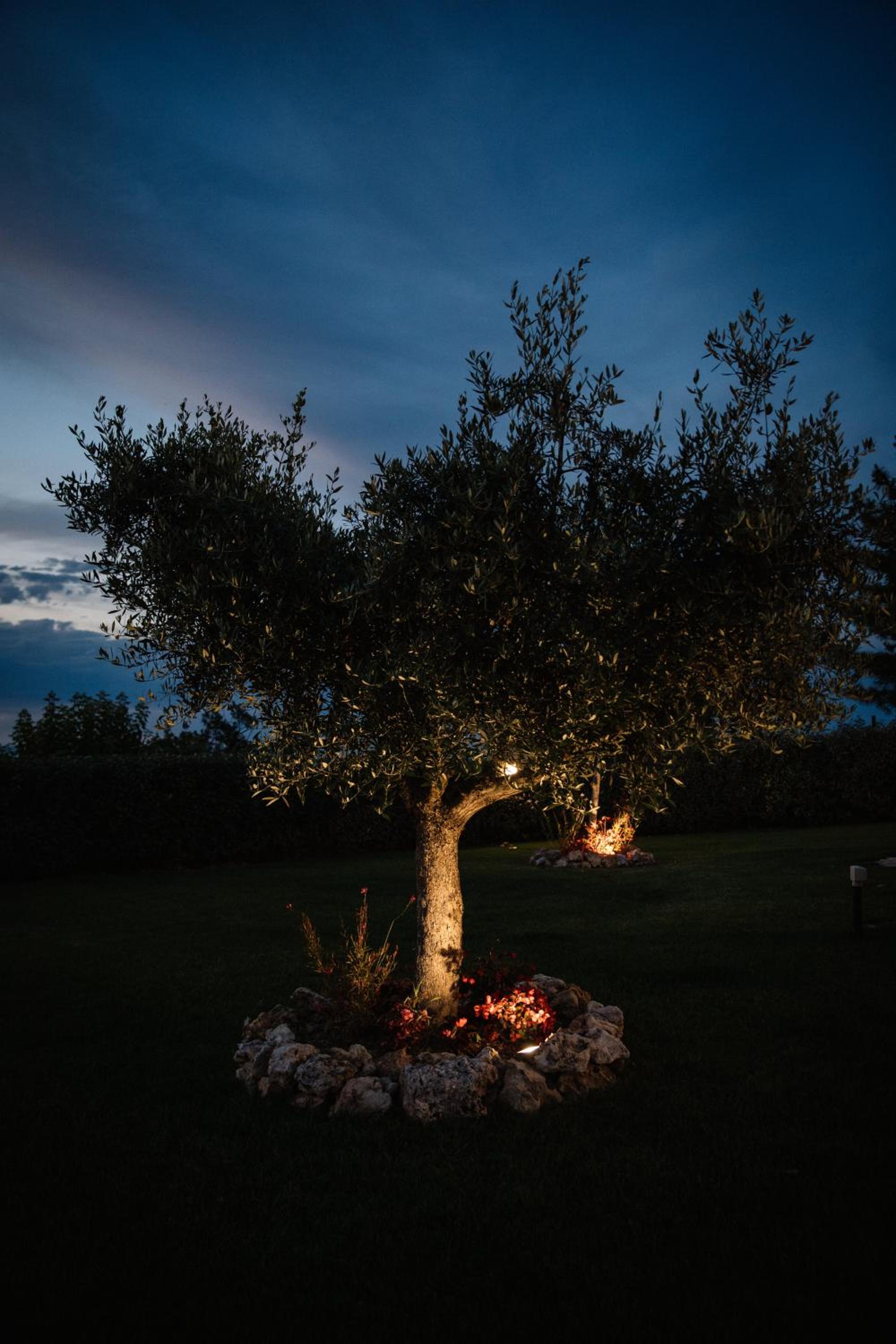 Villa Mascitti B&B Tortoreto Alto