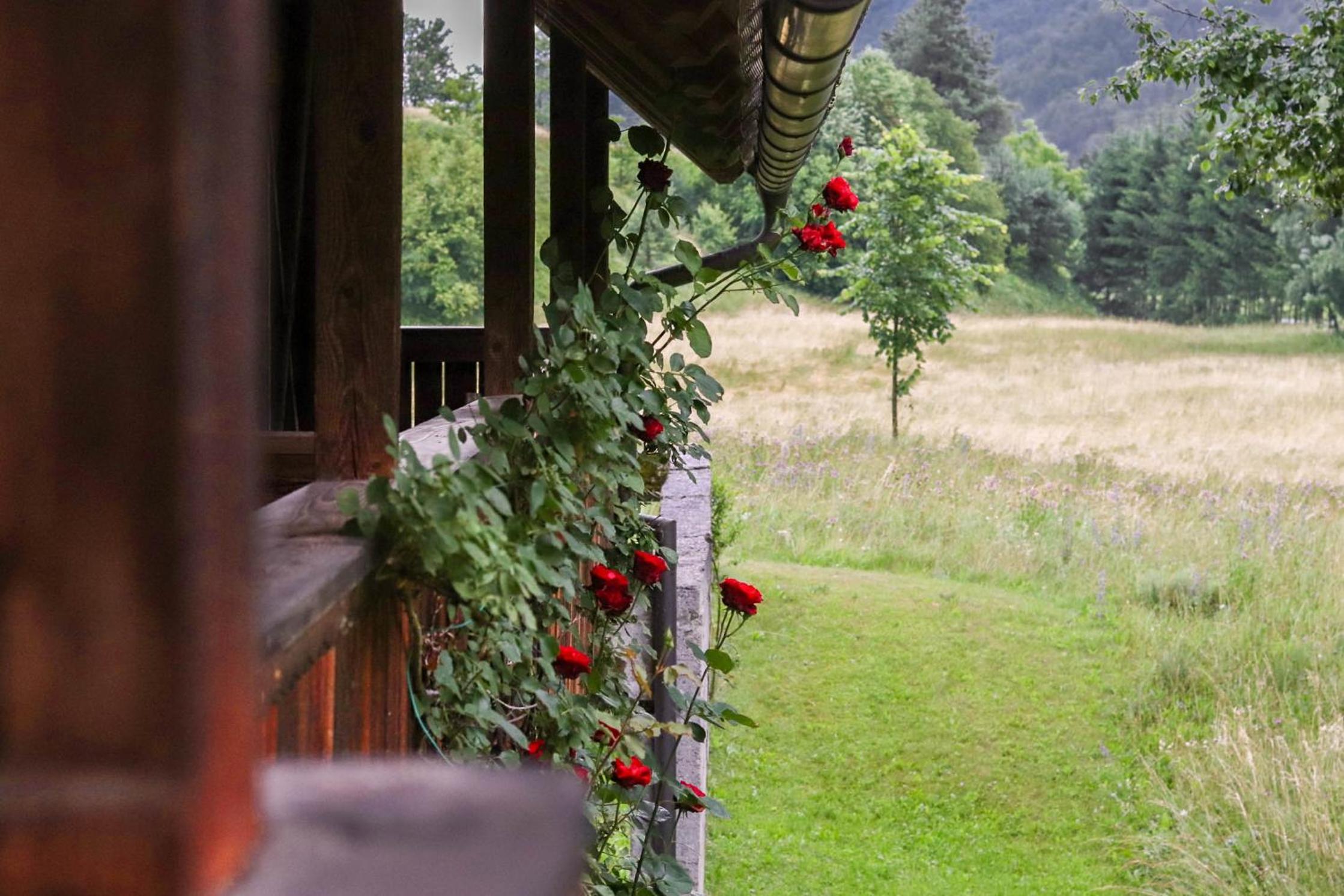 House Alpine Rose en Mojstrana
