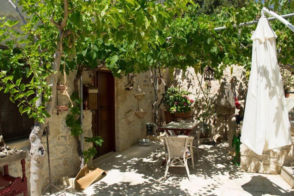 Petite Olive House view 3