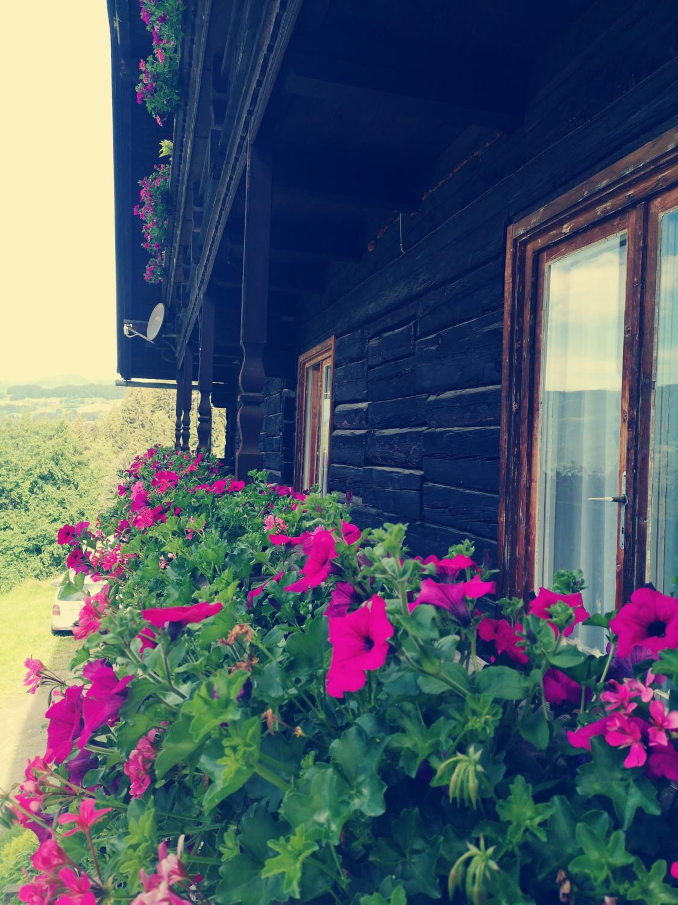 Baumgartnerhof Arriach - Urlaub am Bauernhof